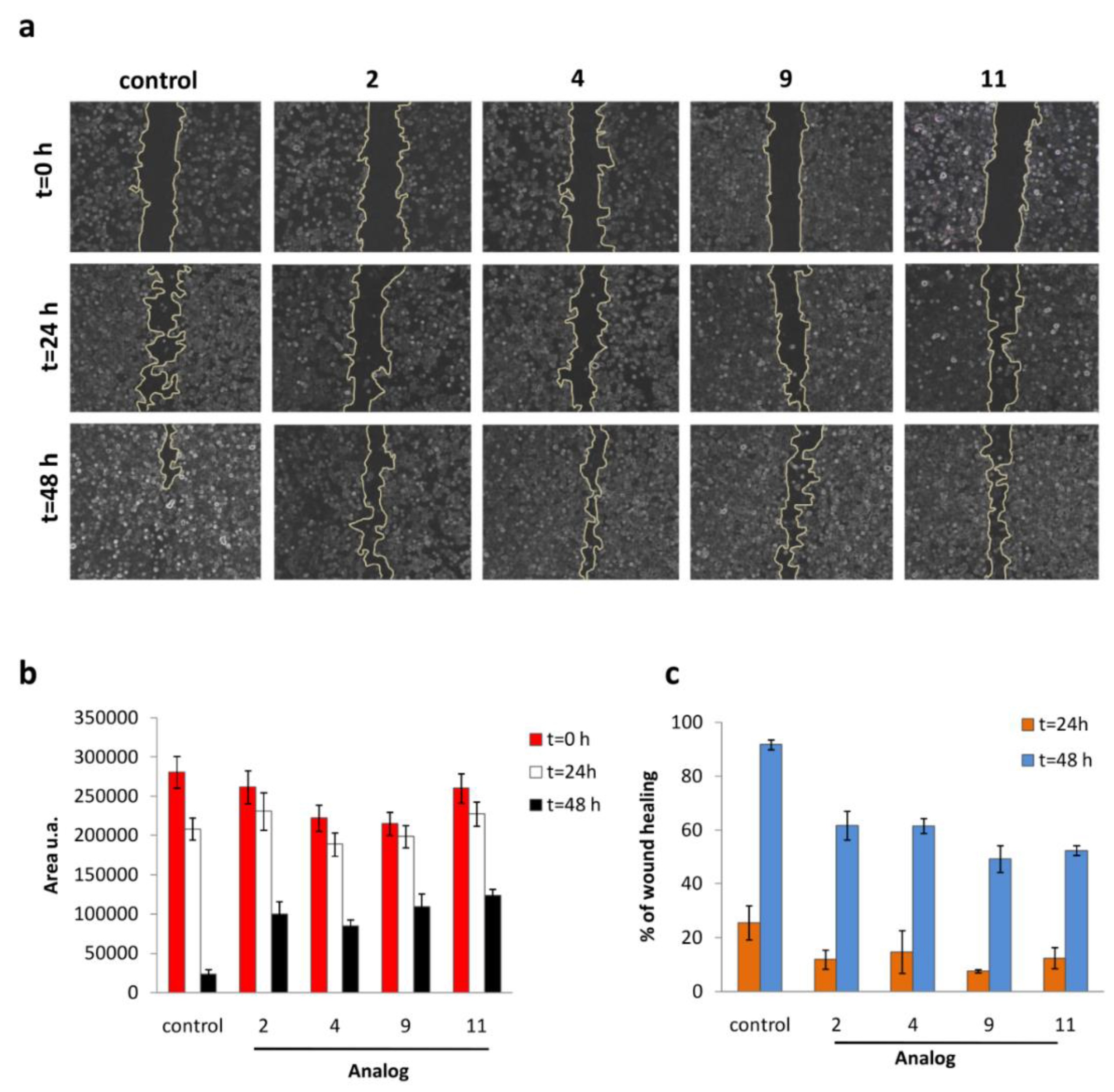 Biomolecules 09 00177 g005