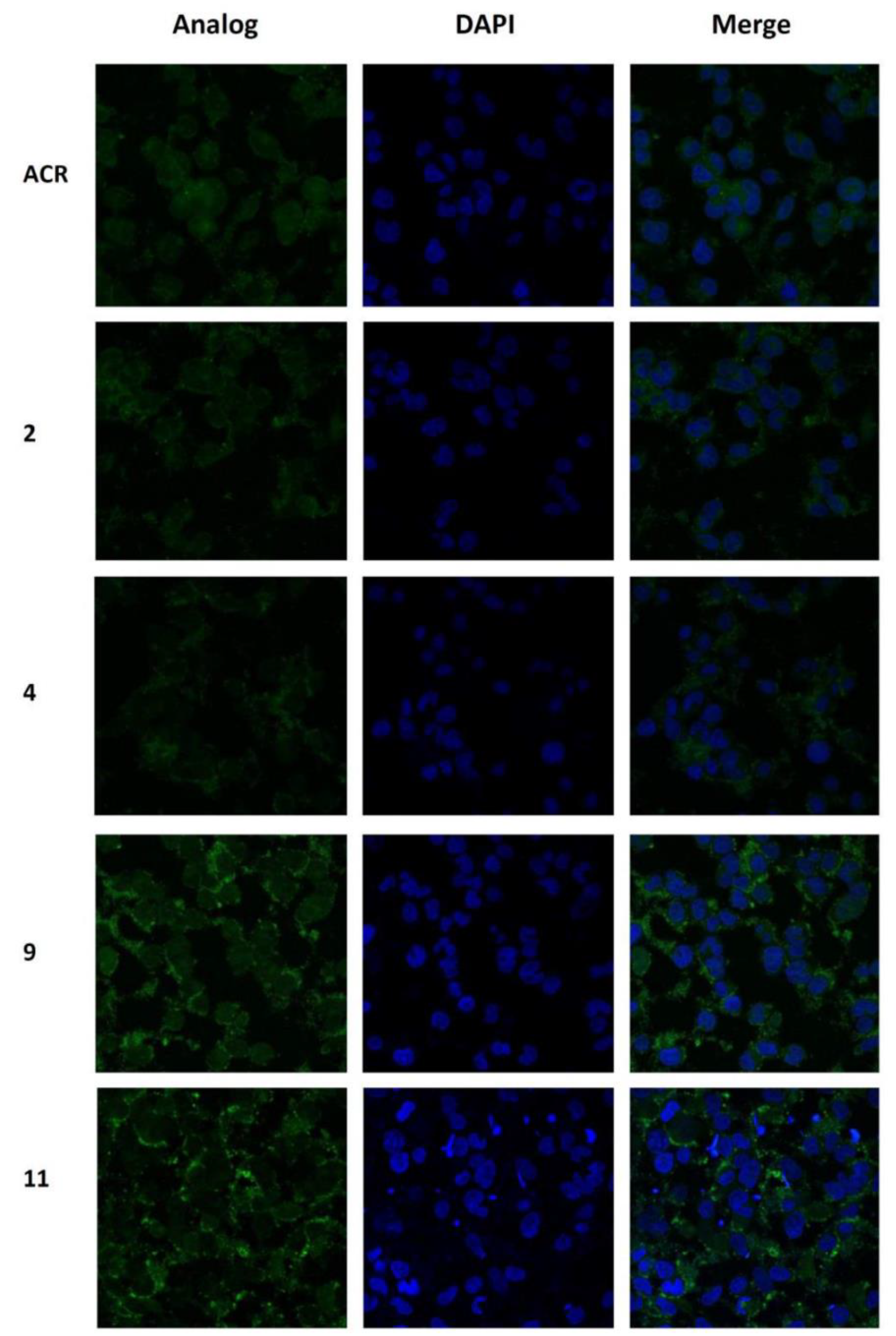 Biomolecules 09 00177 g006