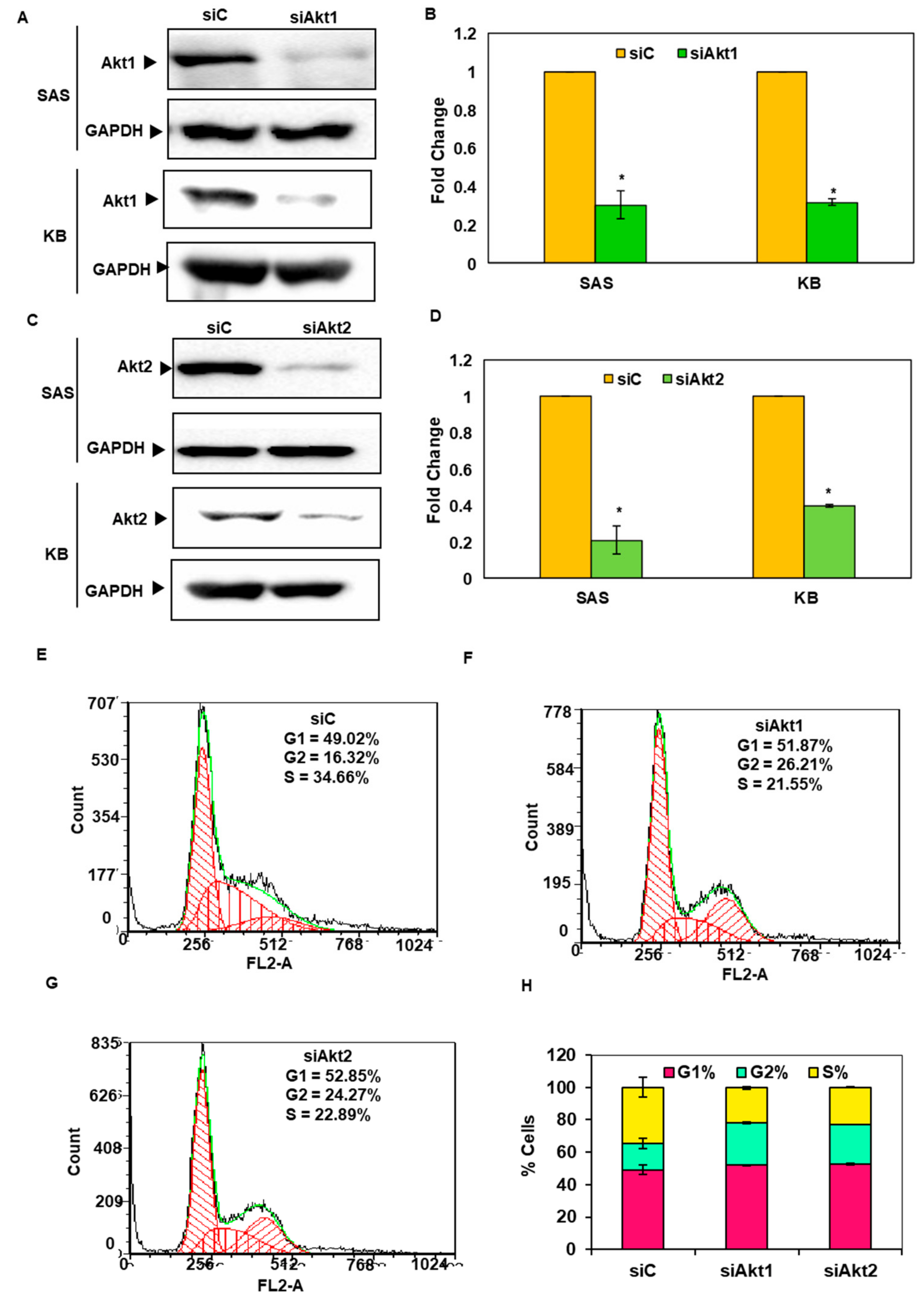 Biomolecules 09 00253 g004