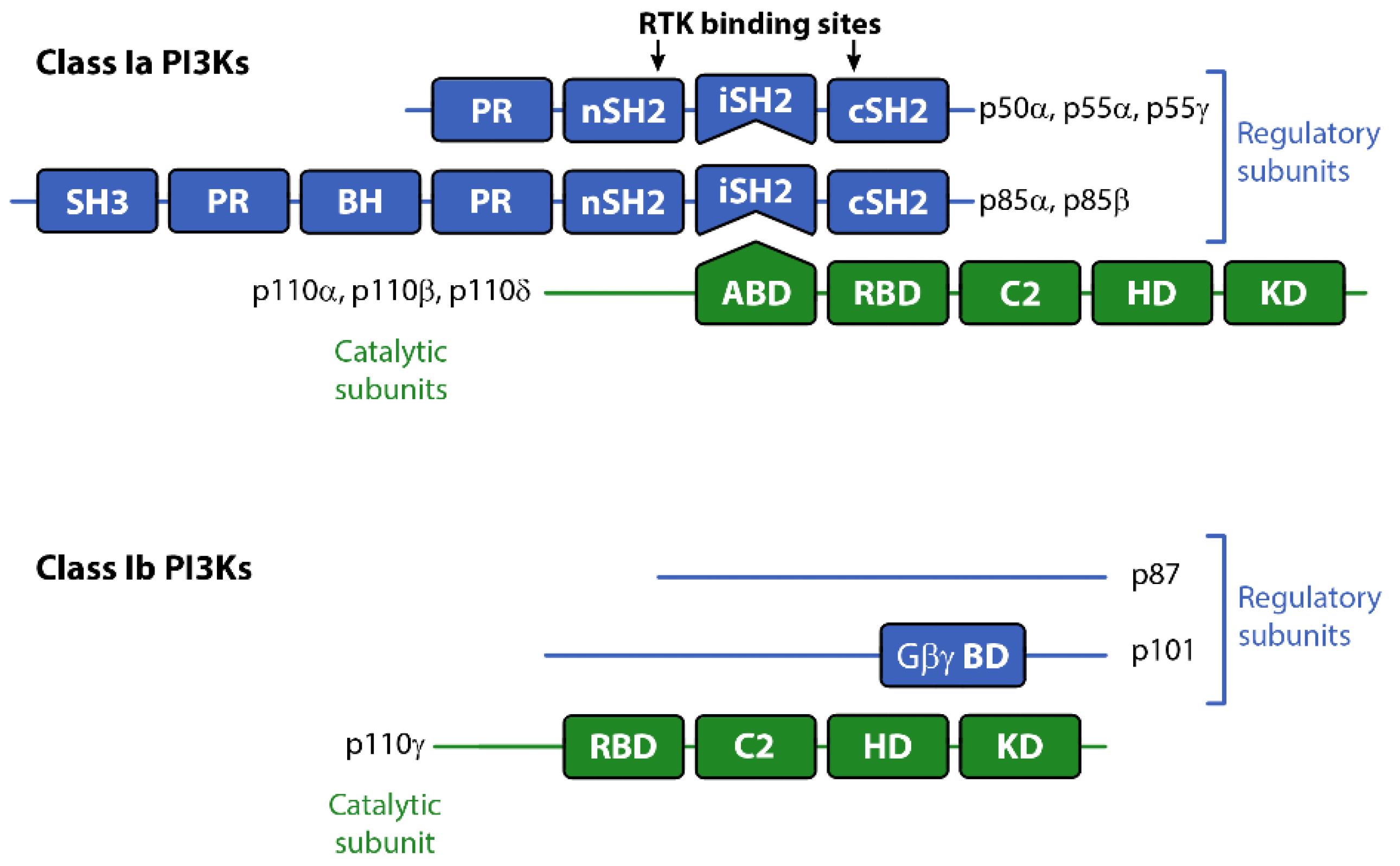 Biomolecules 09 00402 g001