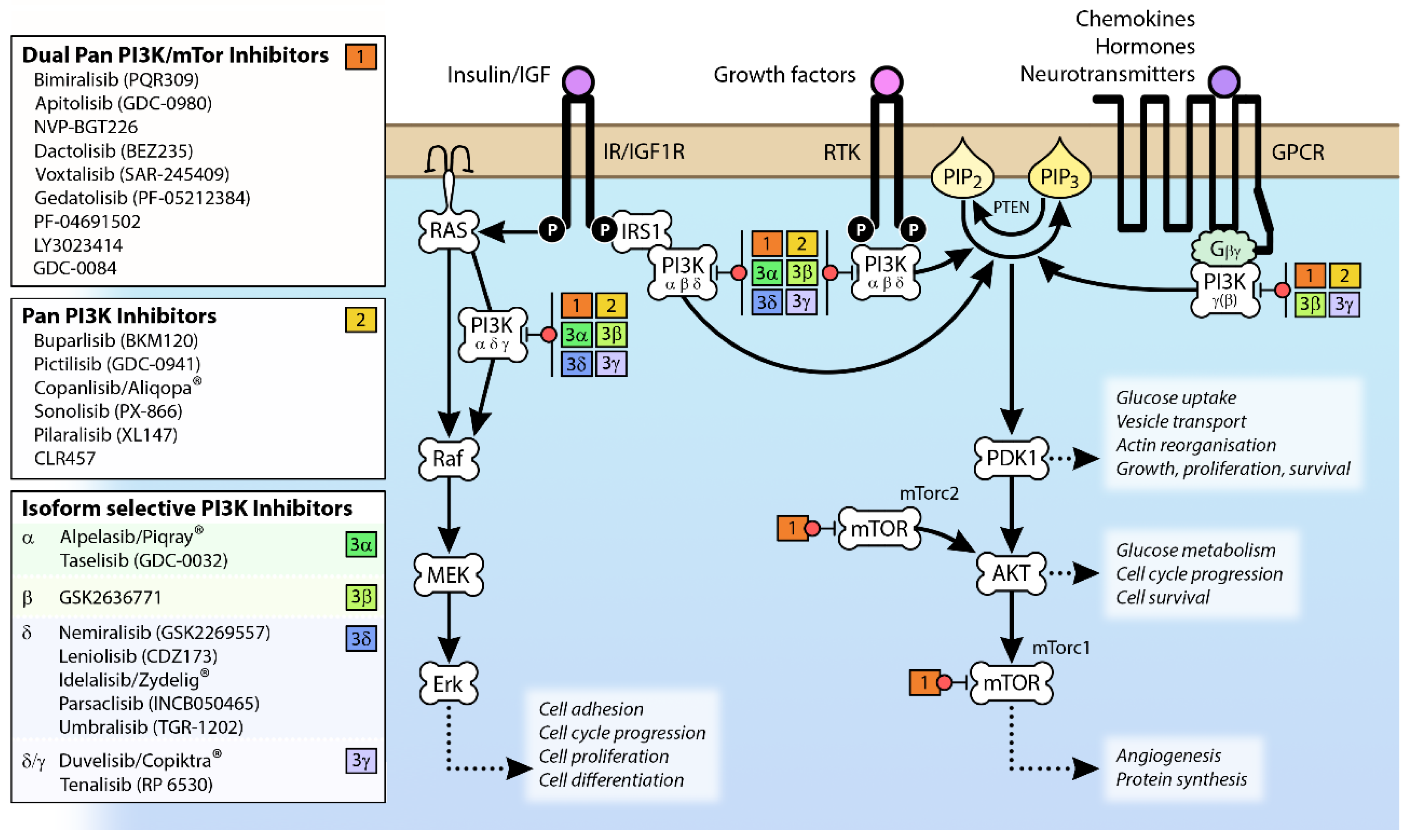 Biomolecules 09 00402 g002