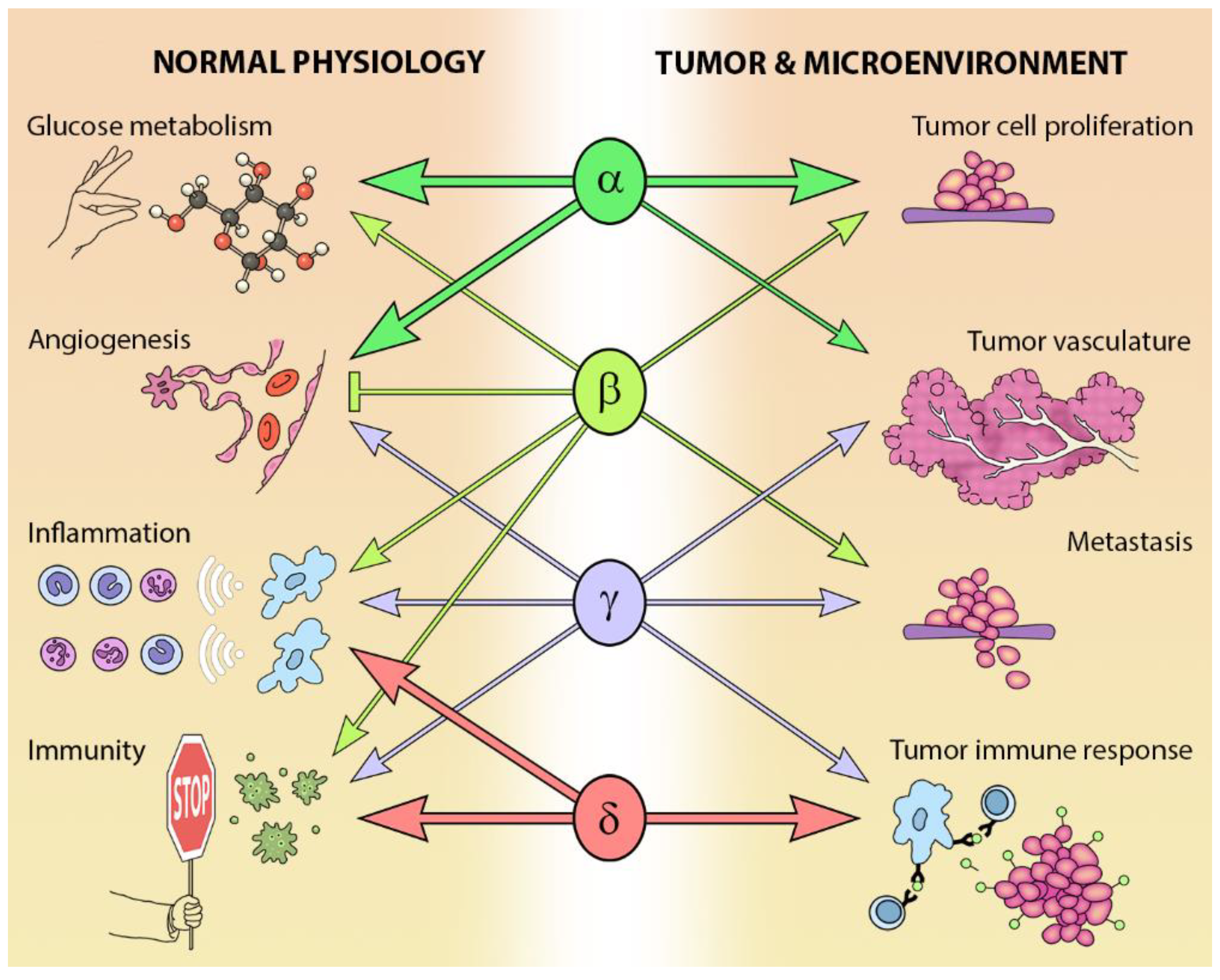 Biomolecules 09 00402 g003