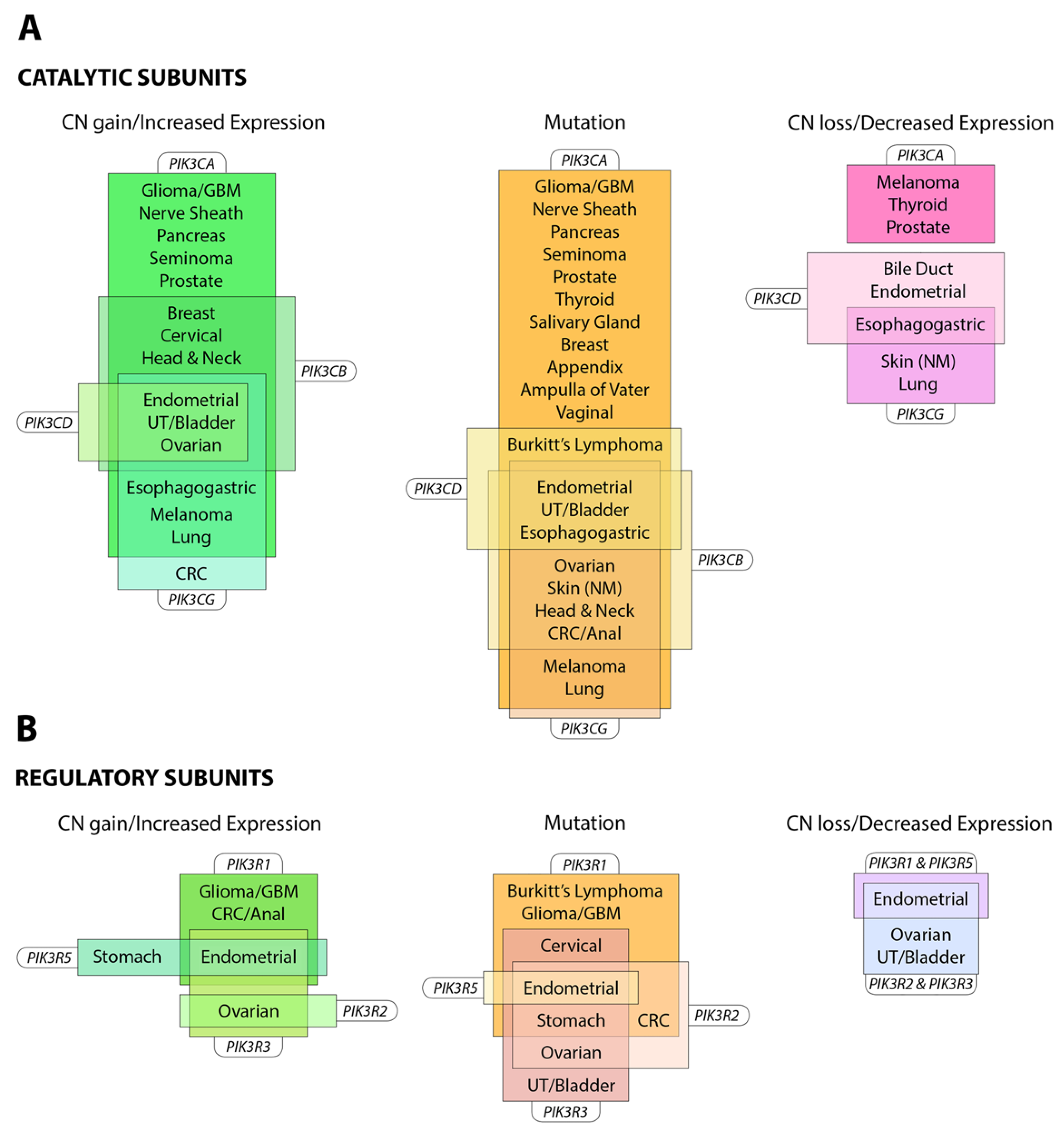 Biomolecules 09 00402 g004