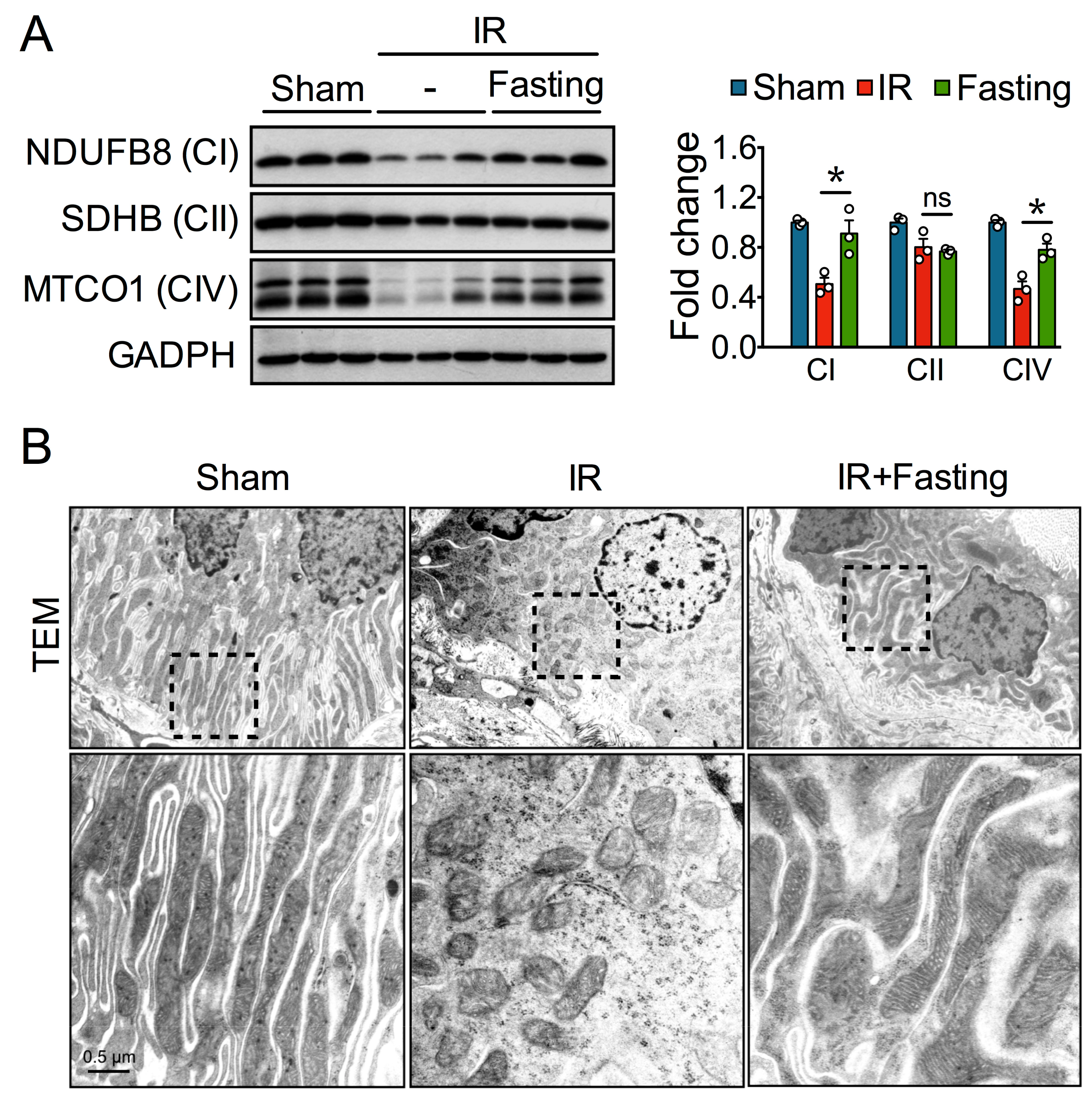 Biomolecules 09 00404 g004