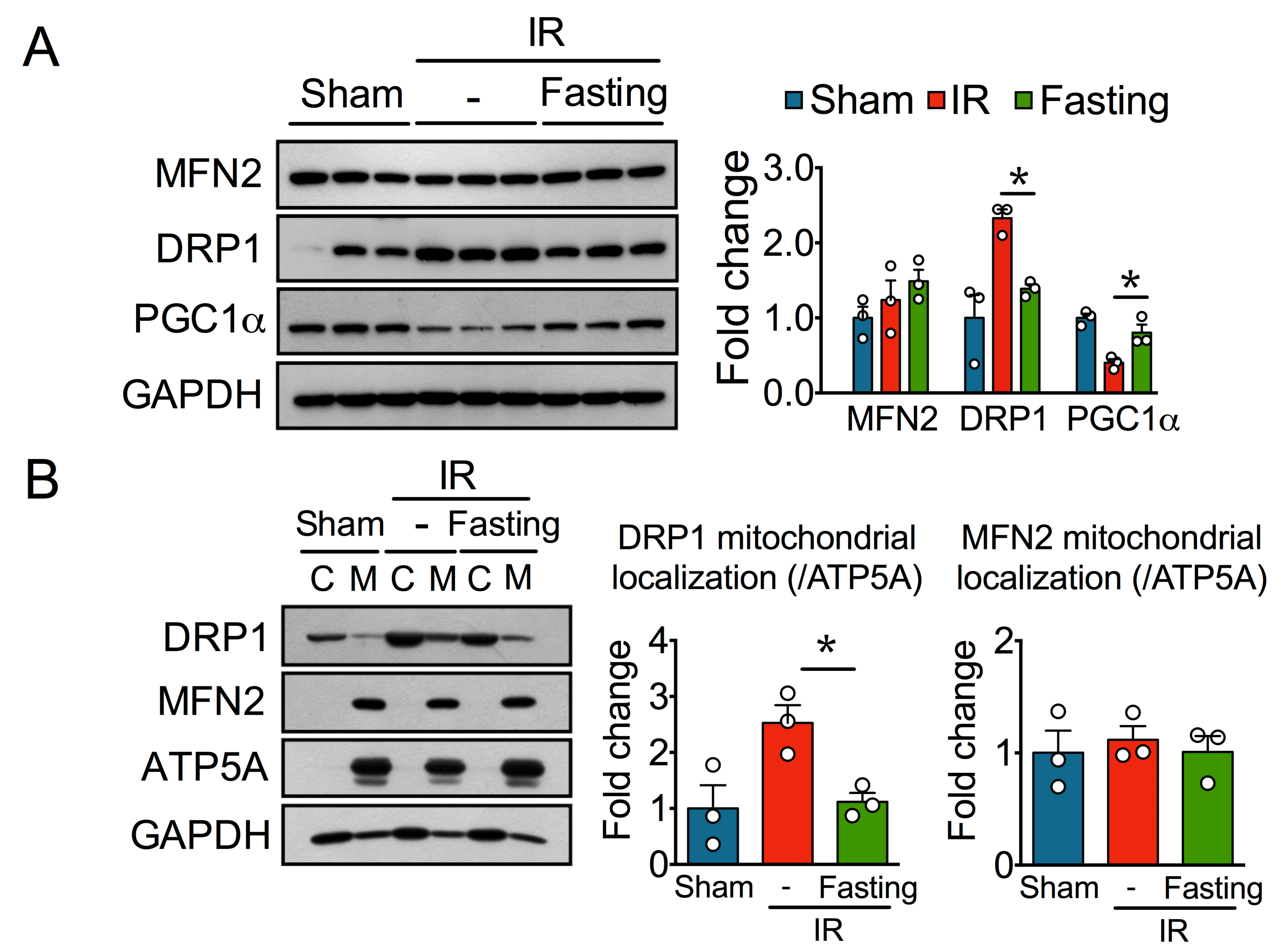 Biomolecules 09 00404 g005