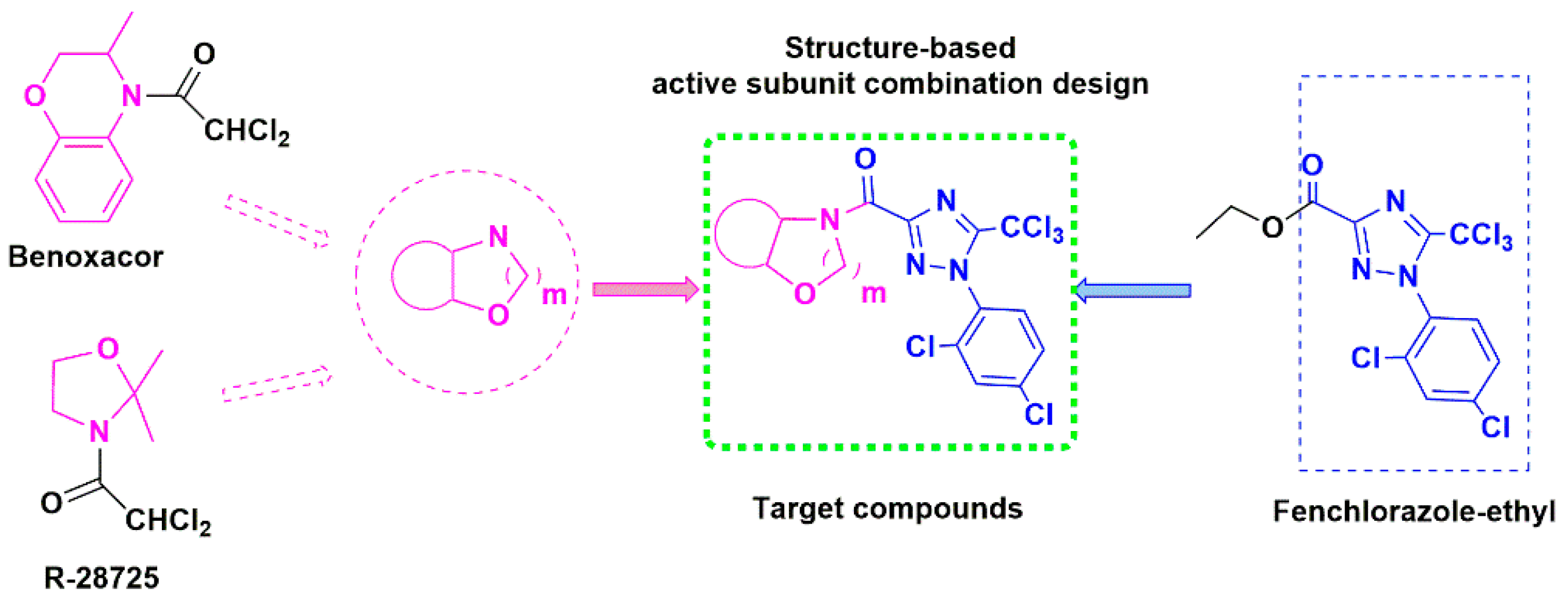 Biomolecules 09 00438 sch002