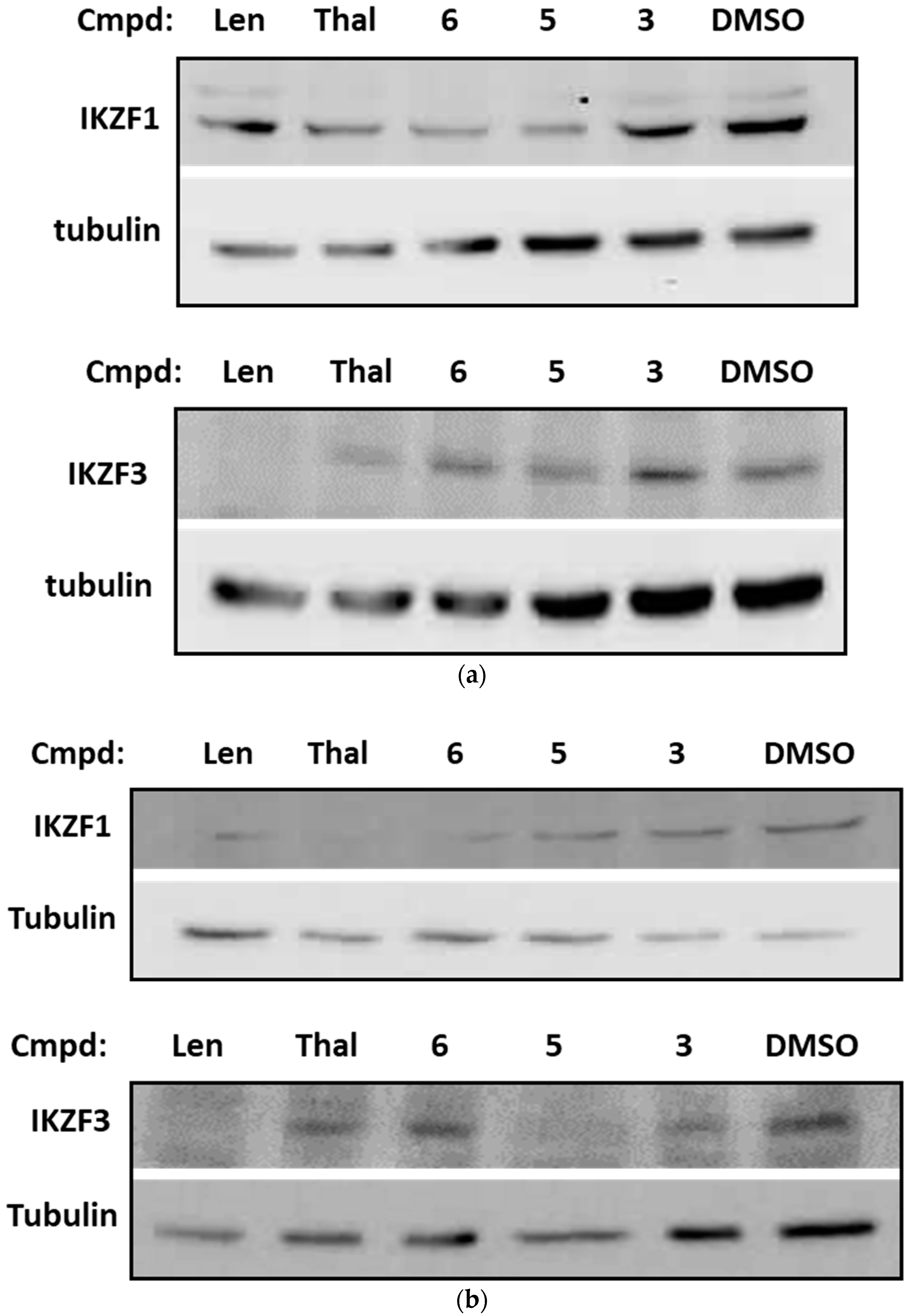 Biomolecules 09 00446 g007
