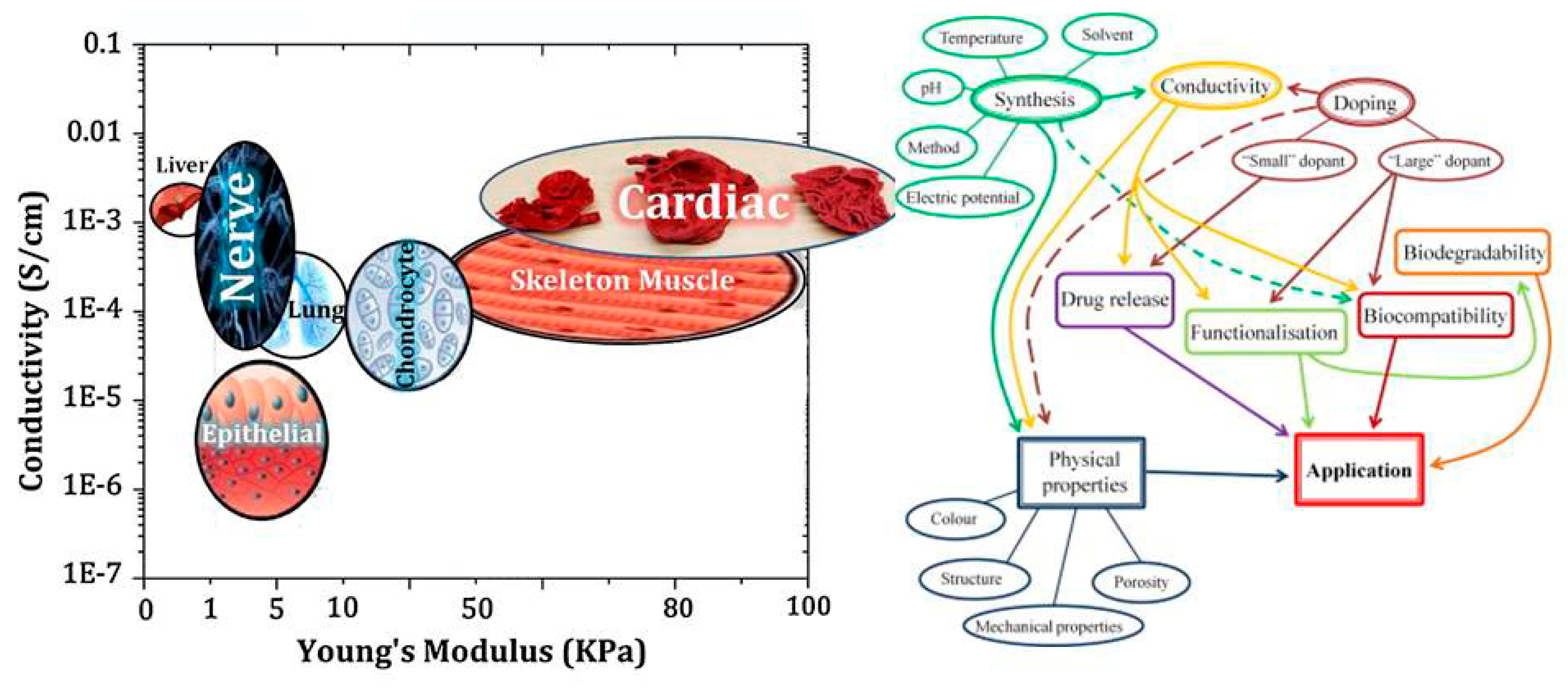 Biomolecules 09 00448 g001