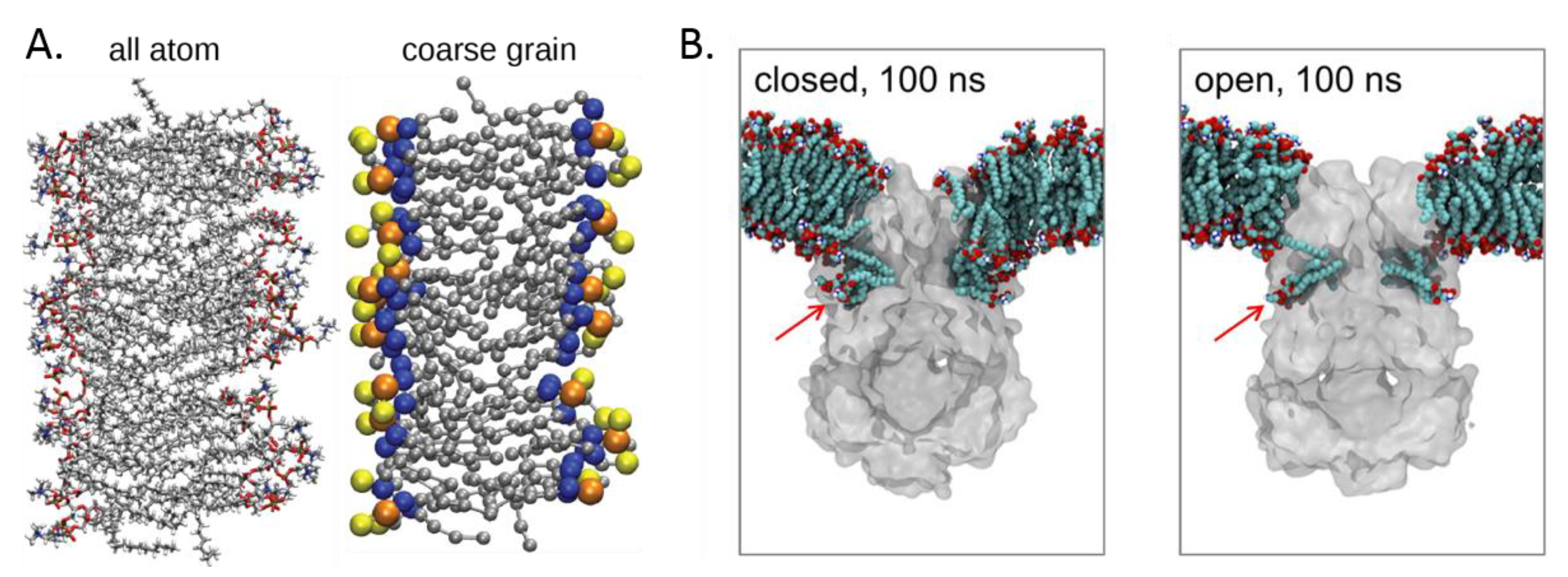 Biomolecules 09 00513 g004