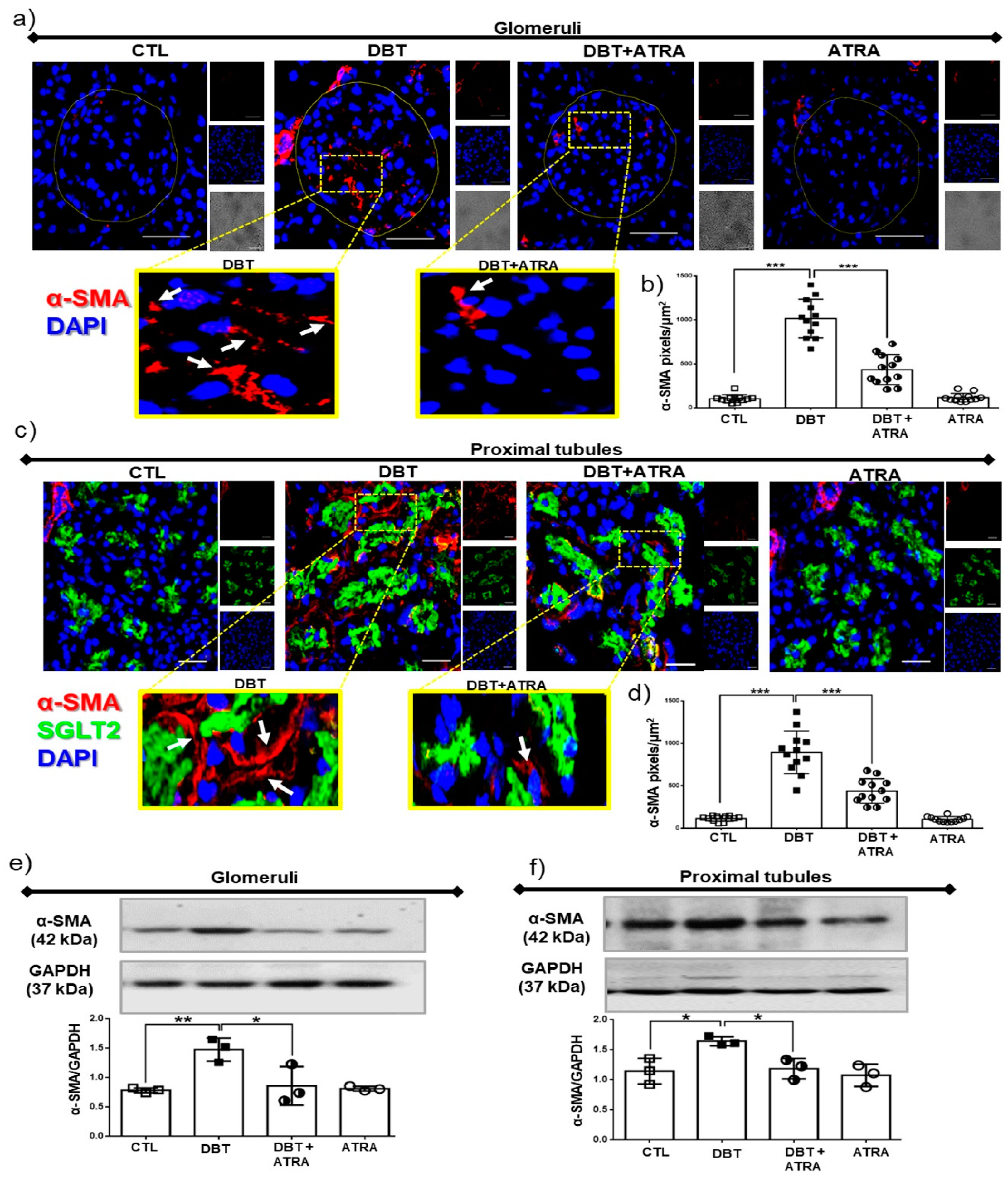Biomolecules 09 00525 g004 Biomolecules 09 00525 g004