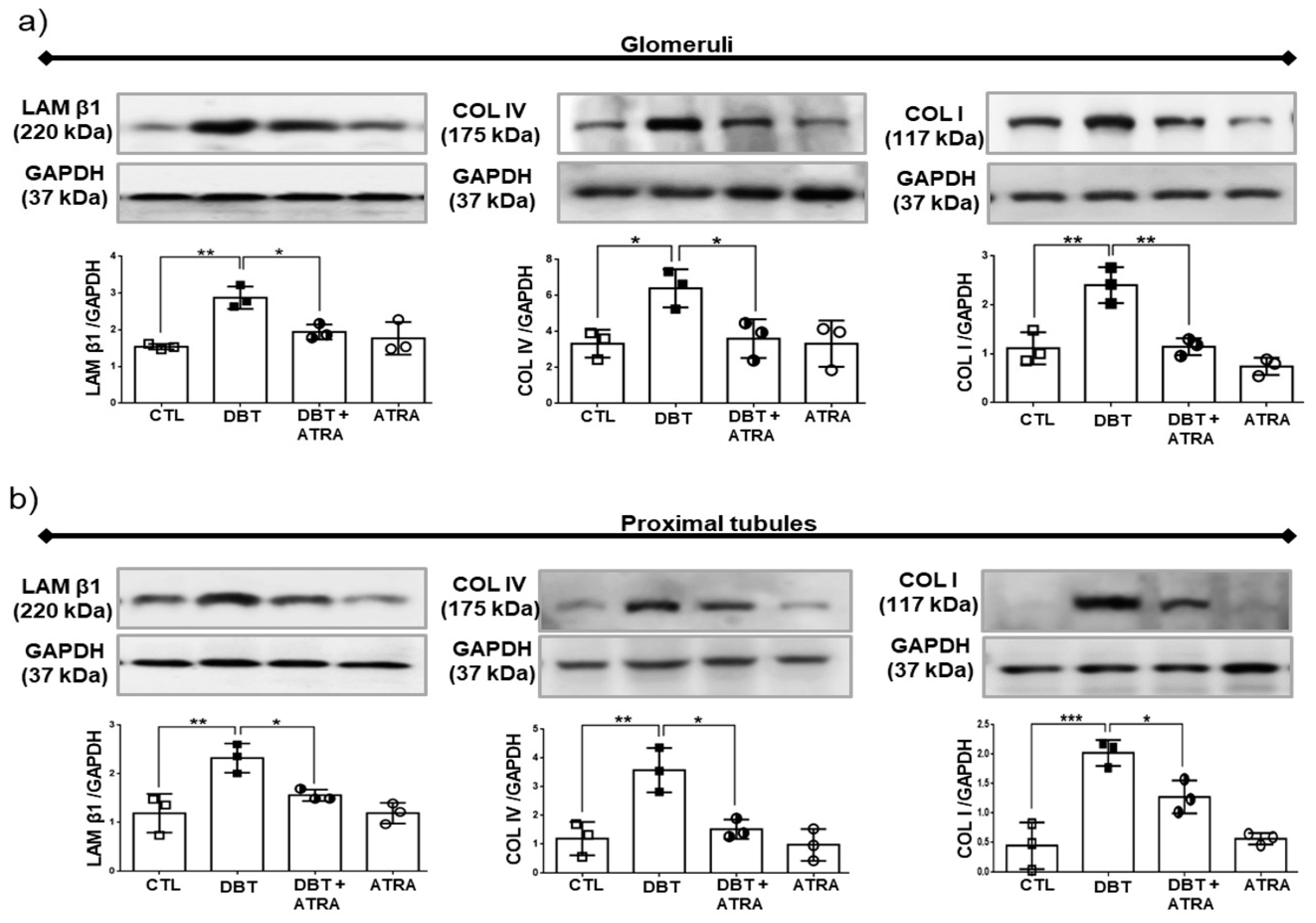 Biomolecules 09 00525 g005 Biomolecules 09 00525 g005