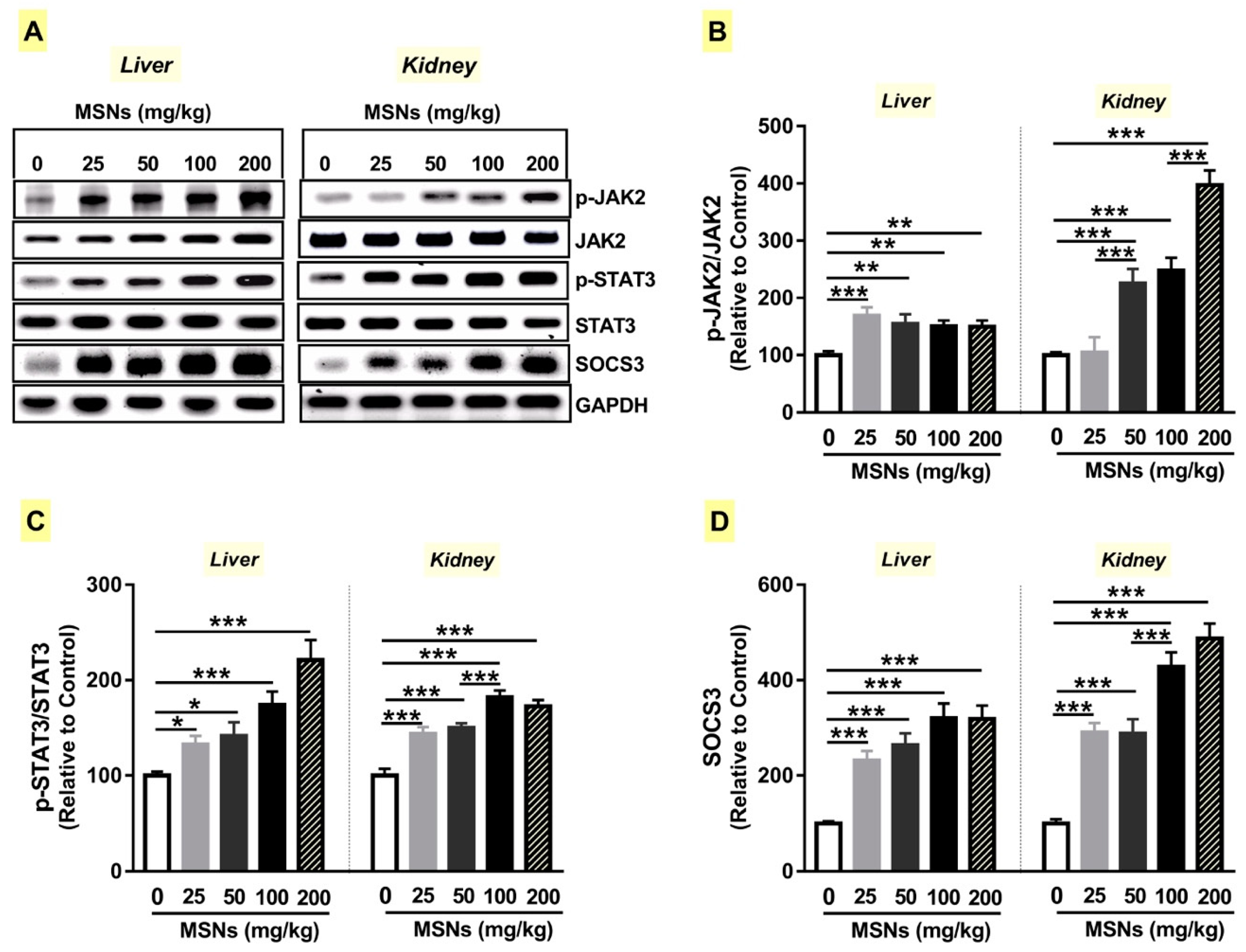 Biomolecules 09 00528 g007 Biomolecules 09 00528 g007