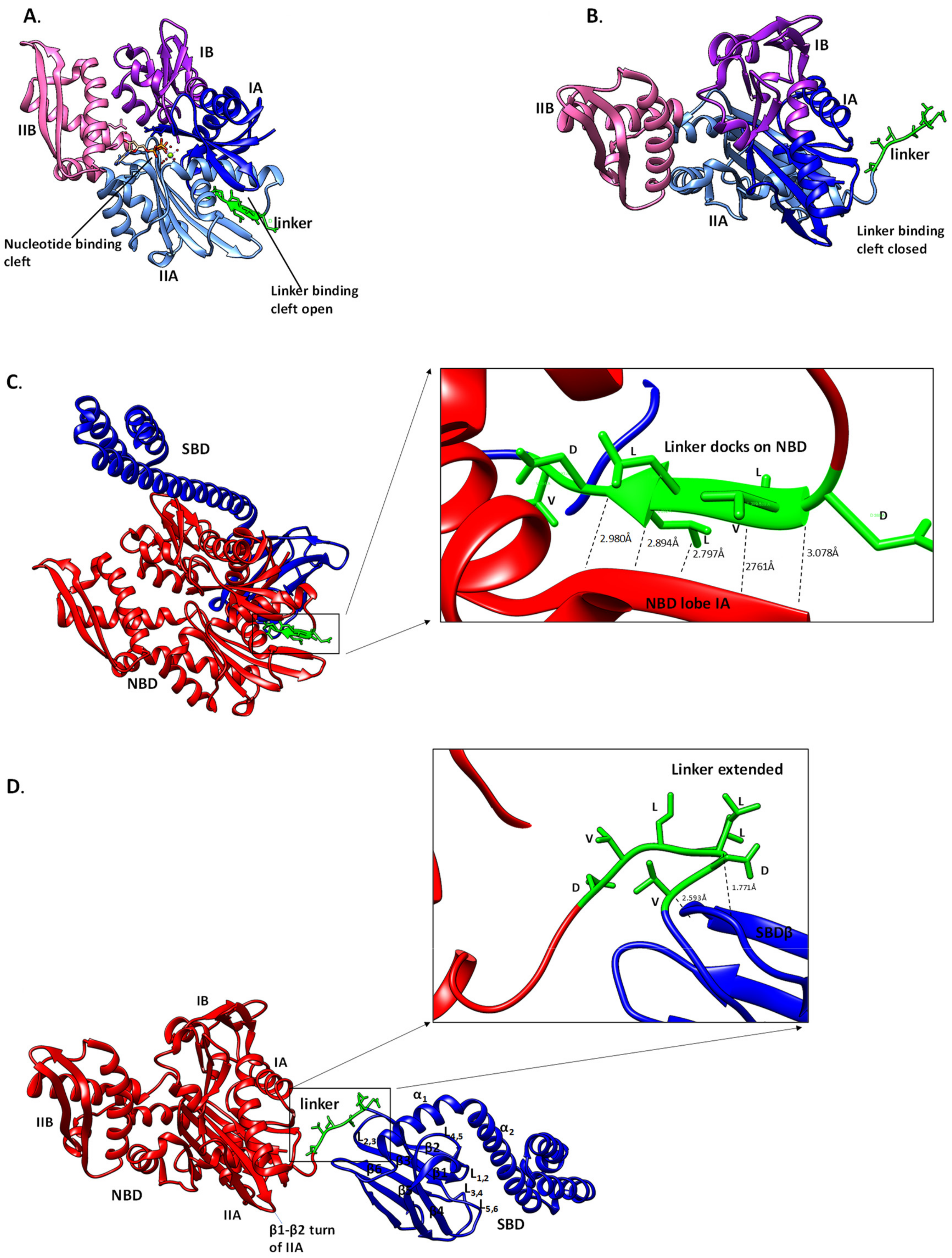 Biomolecules 09 00543 g005