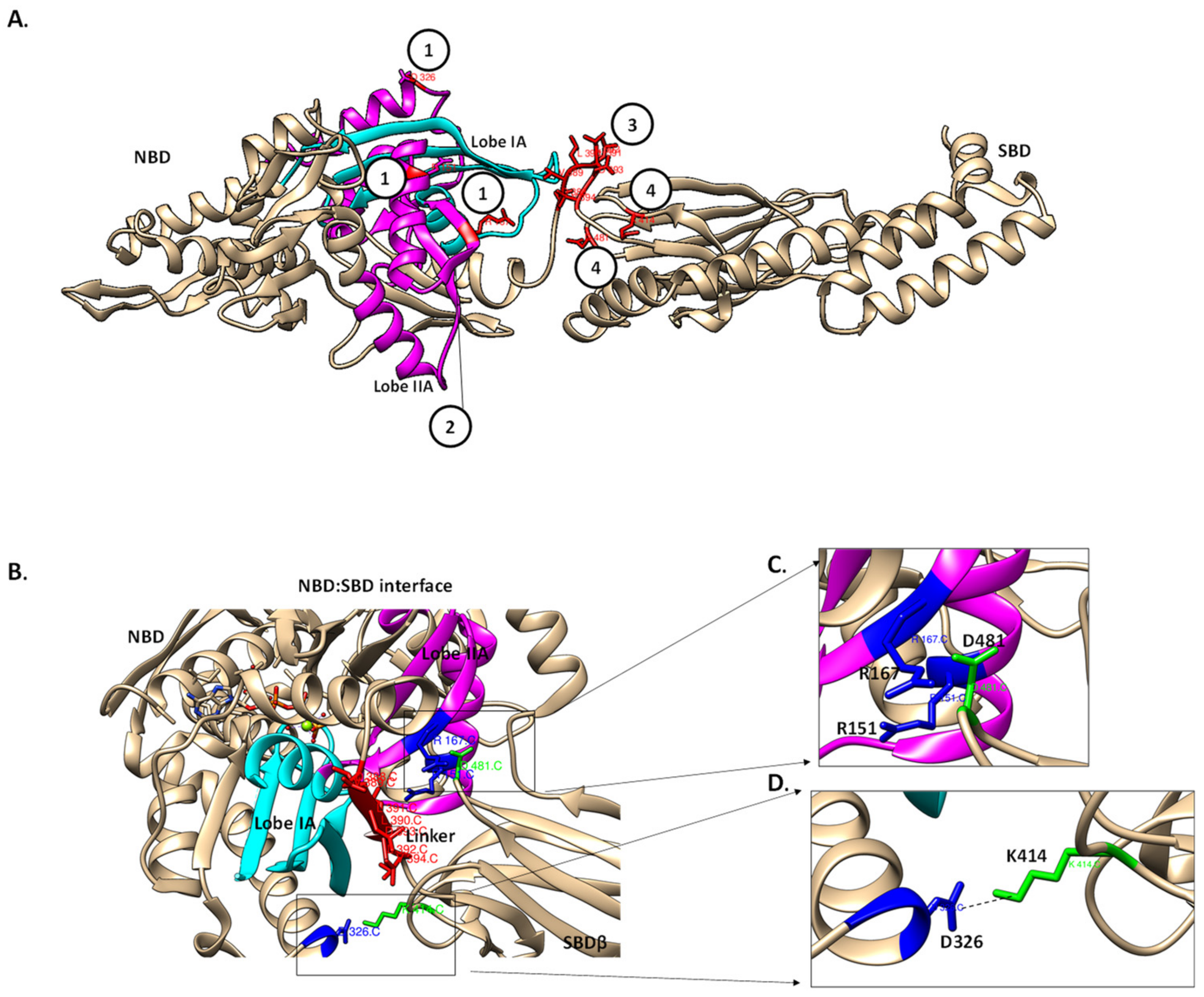 Biomolecules 09 00543 g007