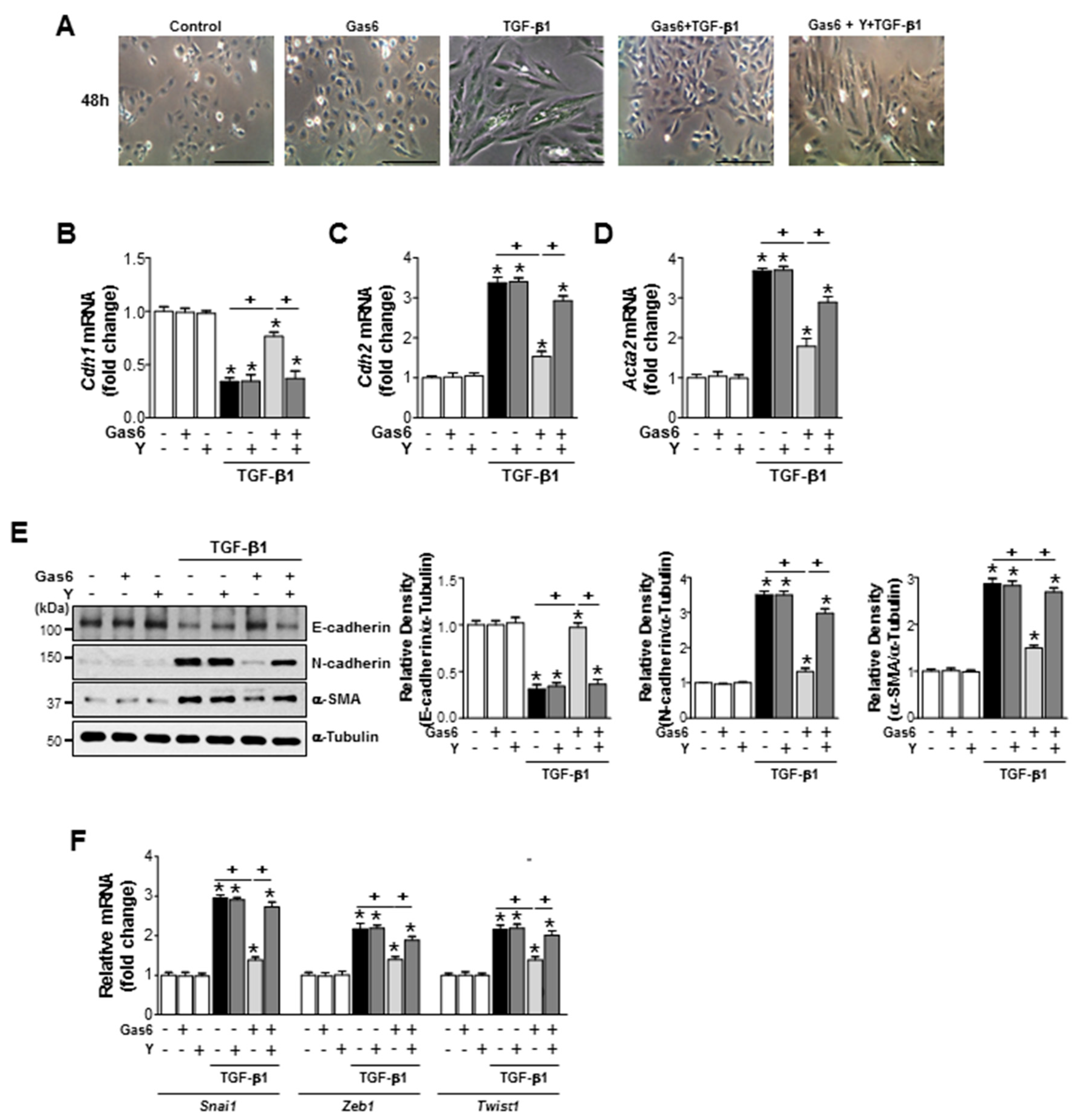 Biomolecules 09 00565 g005
