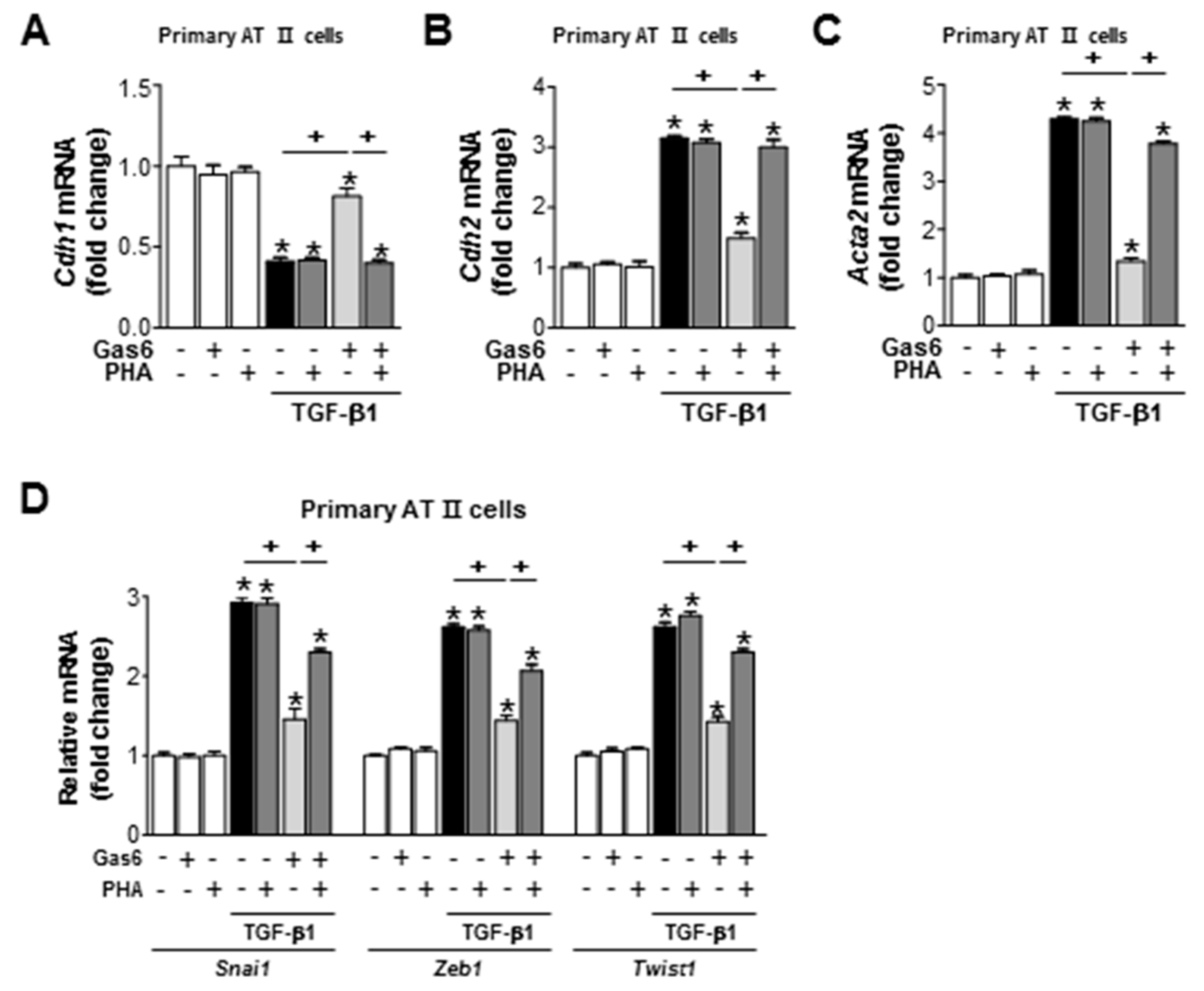 Biomolecules 09 00565 g008