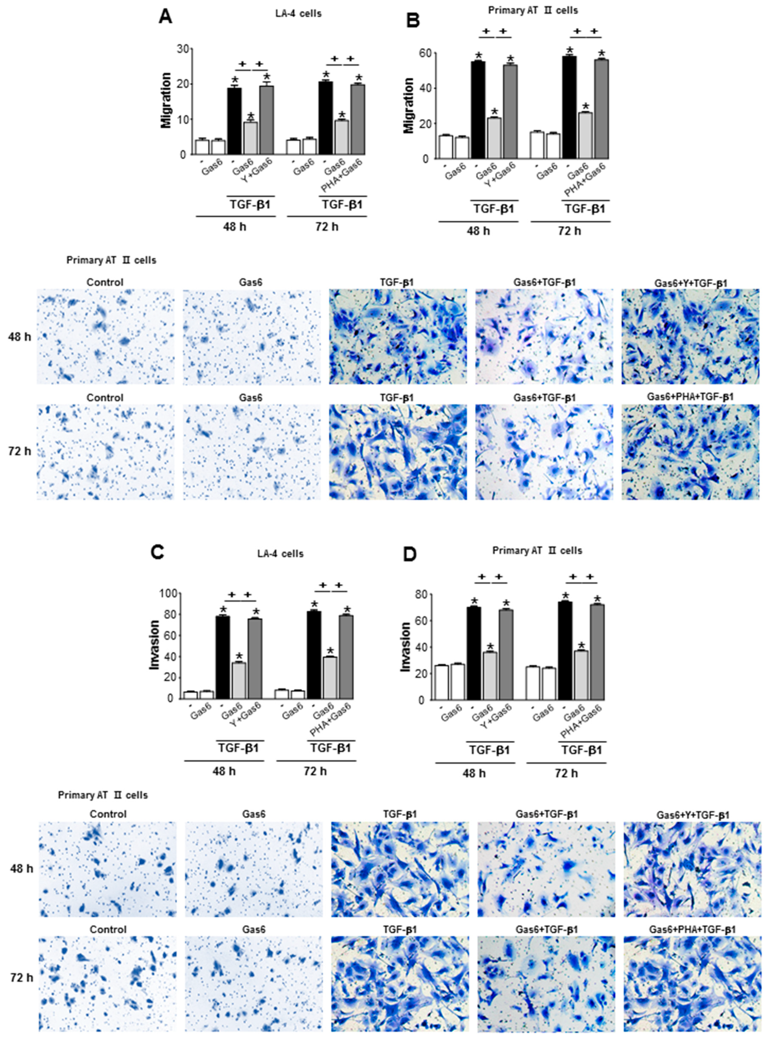 Biomolecules 09 00565 g009