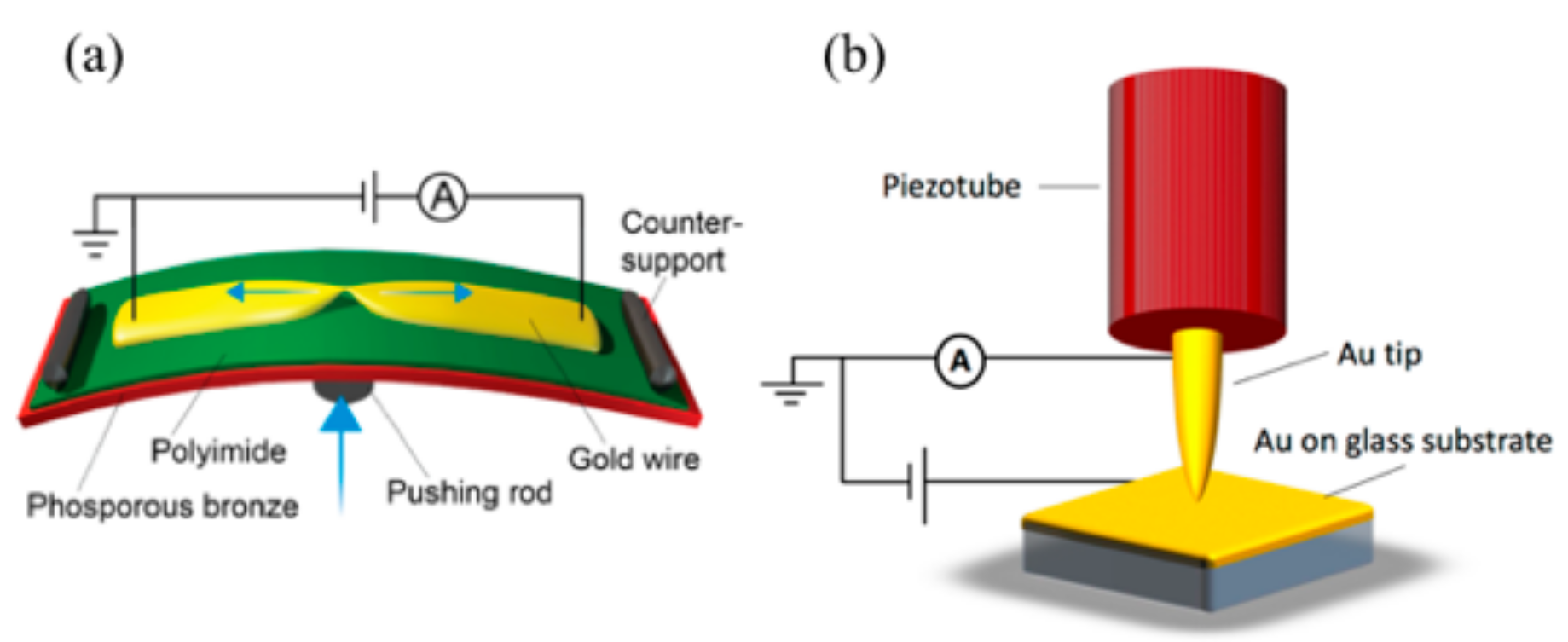 Biomolecules 09 00580 g002