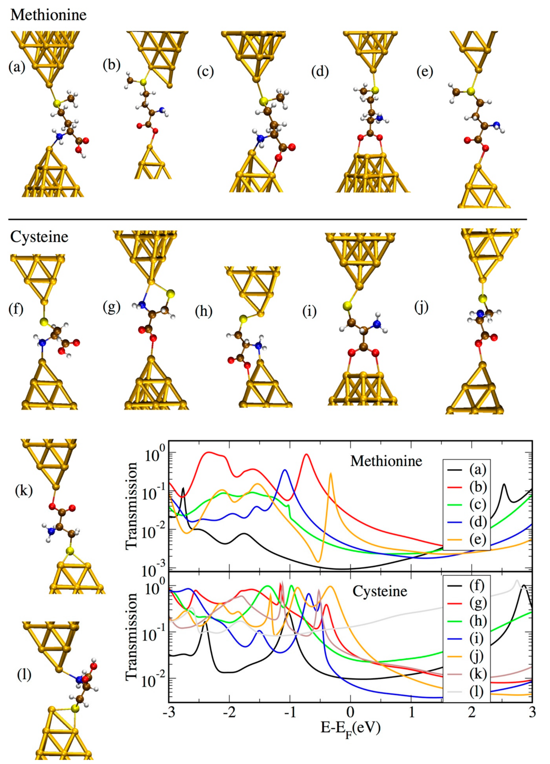 Biomolecules 09 00580 g006
