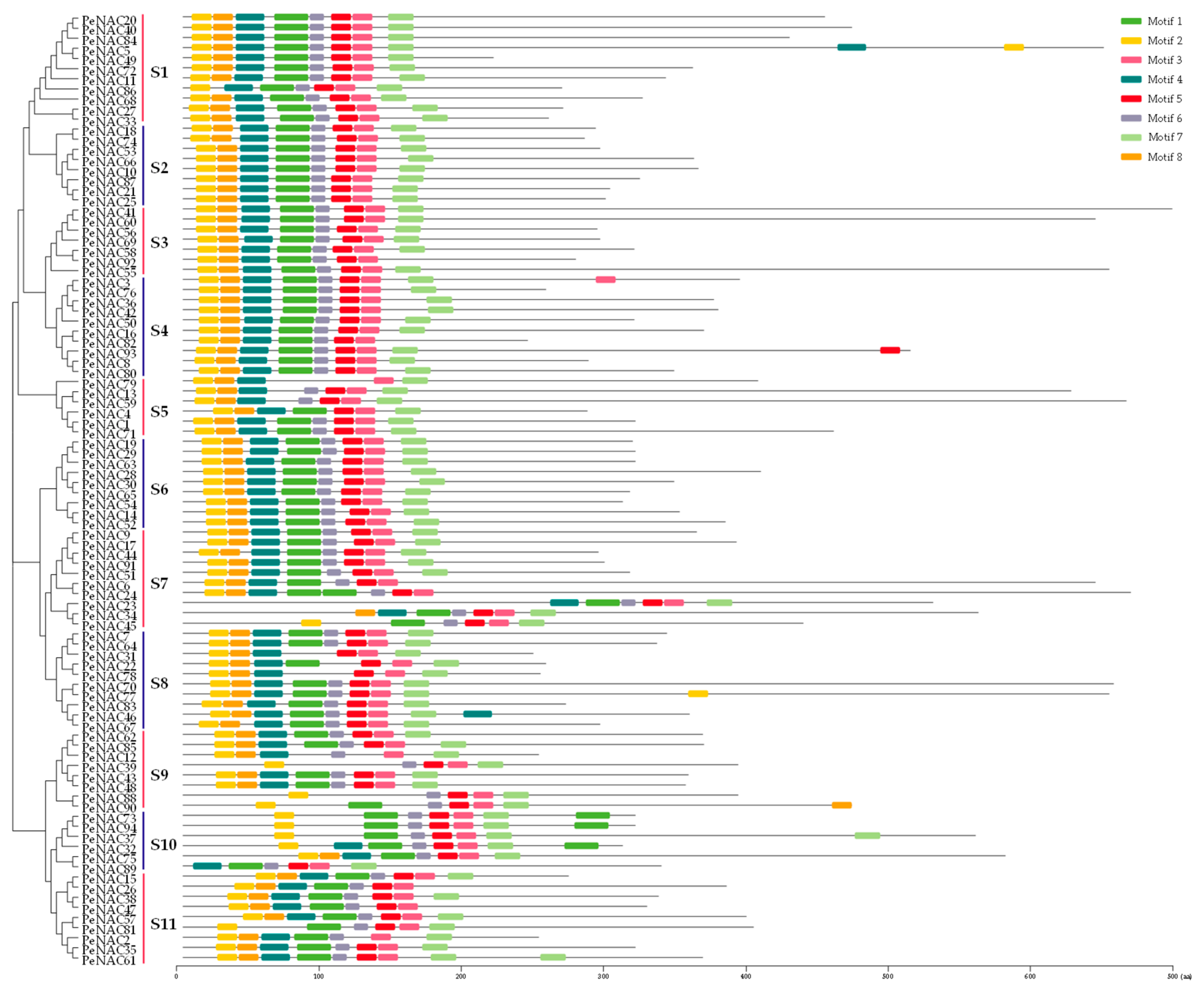 Biomolecules 09 00609 g002