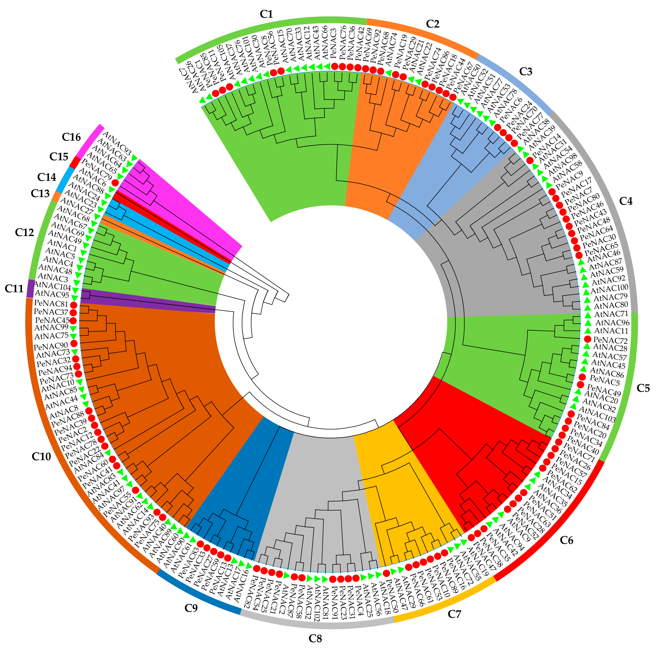 Biomolecules 09 00609 g003