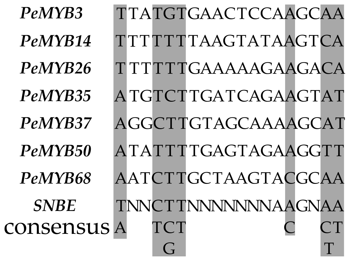Biomolecules 09 00609 g007