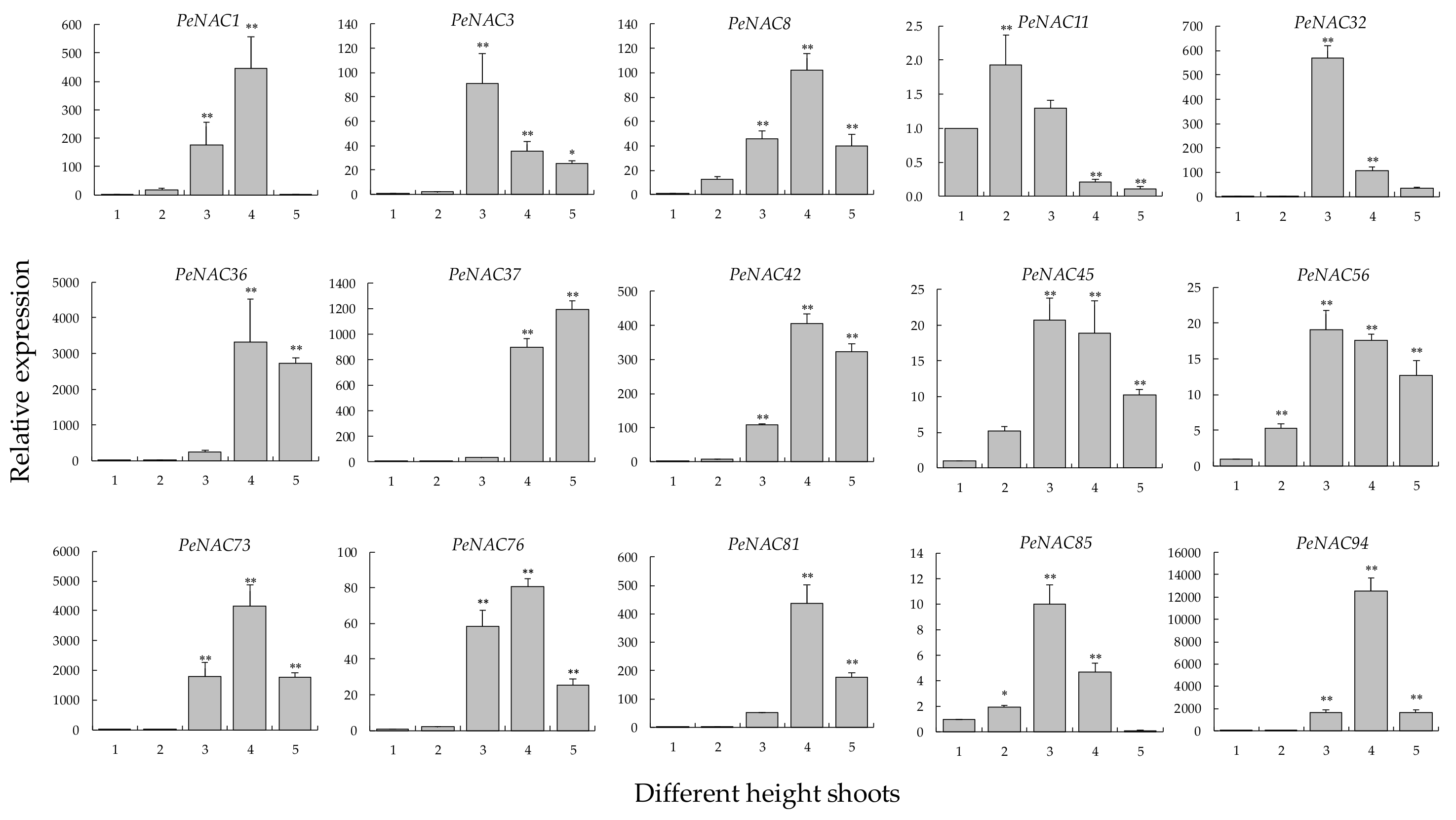 Biomolecules 09 00609 g008