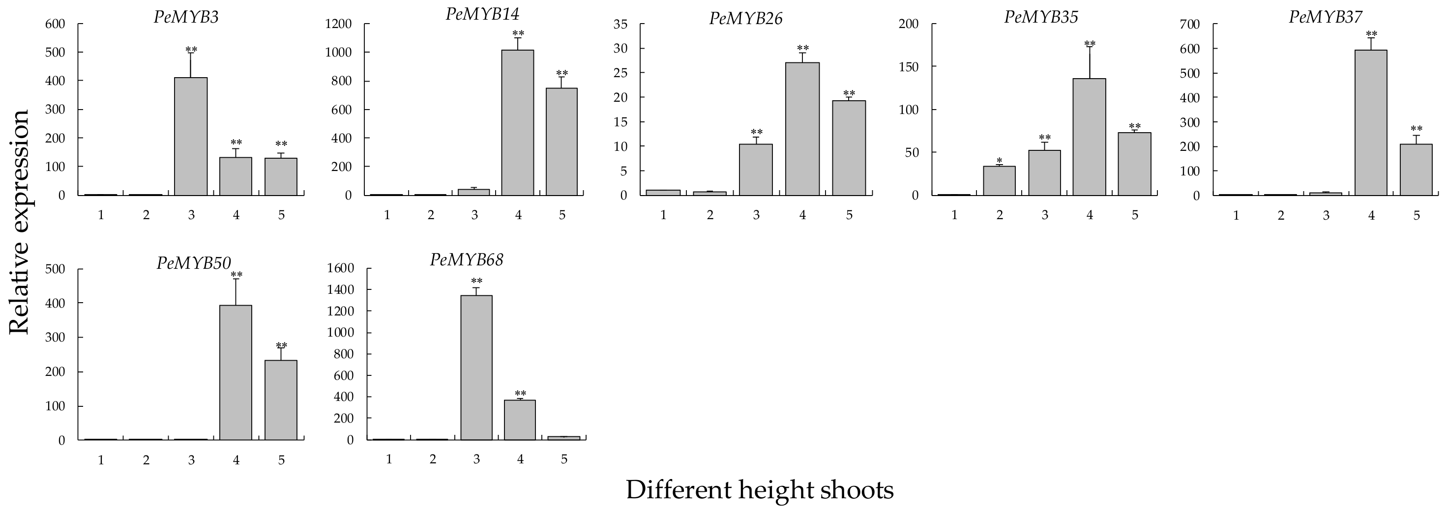 Biomolecules 09 00609 g009