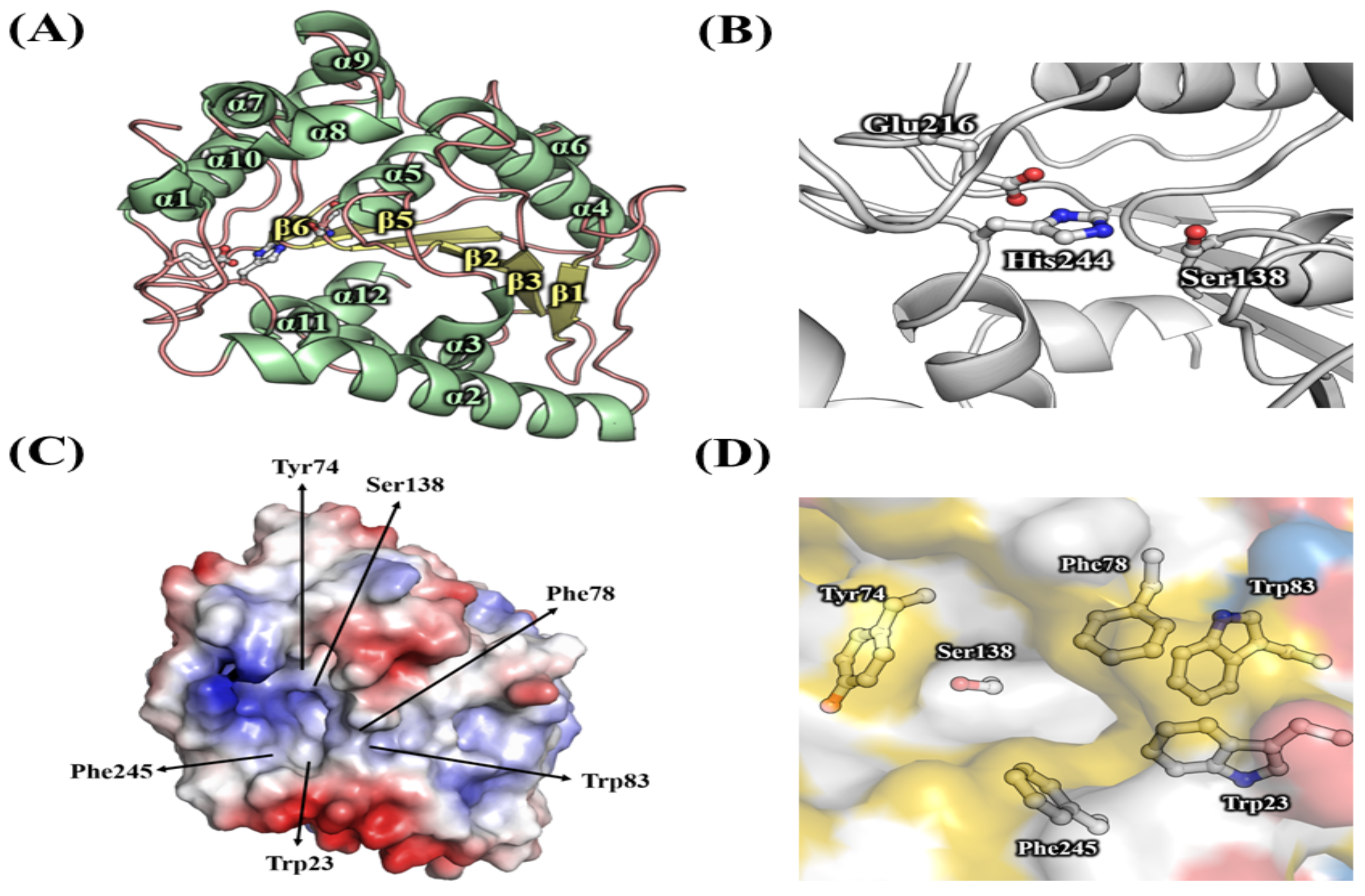Biomolecules 09 00704 g008