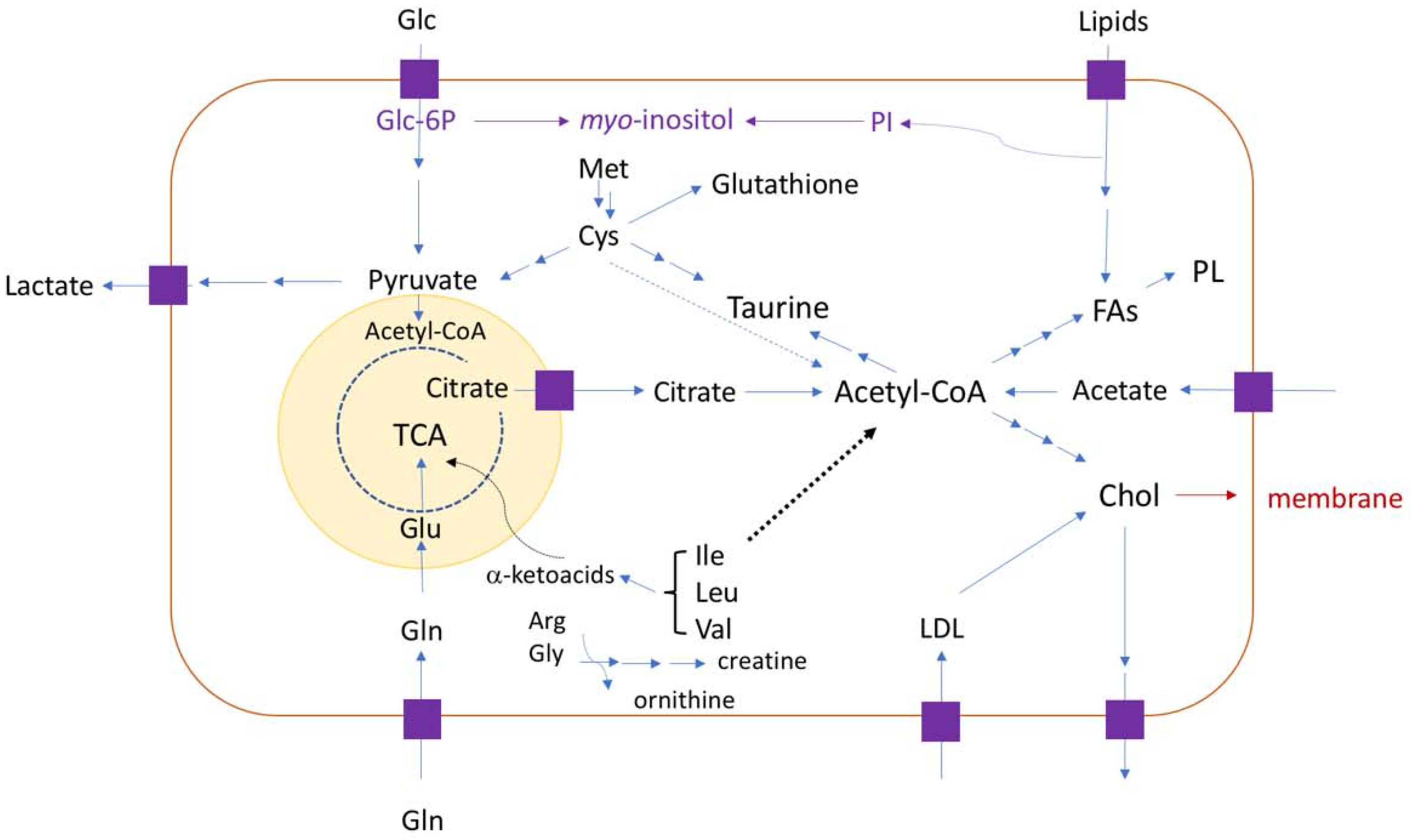 Biomolecules 09 00843 g002