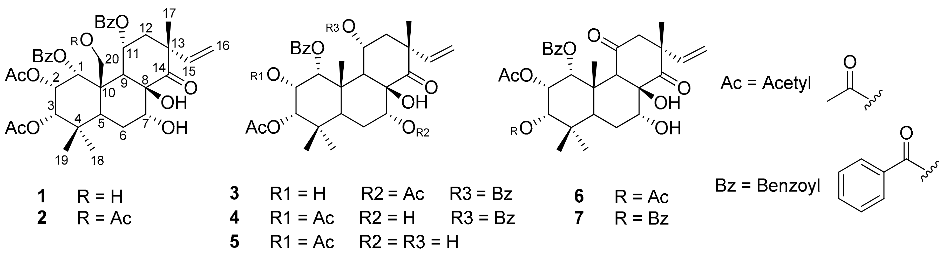 Biomolecules 09 00859 g001