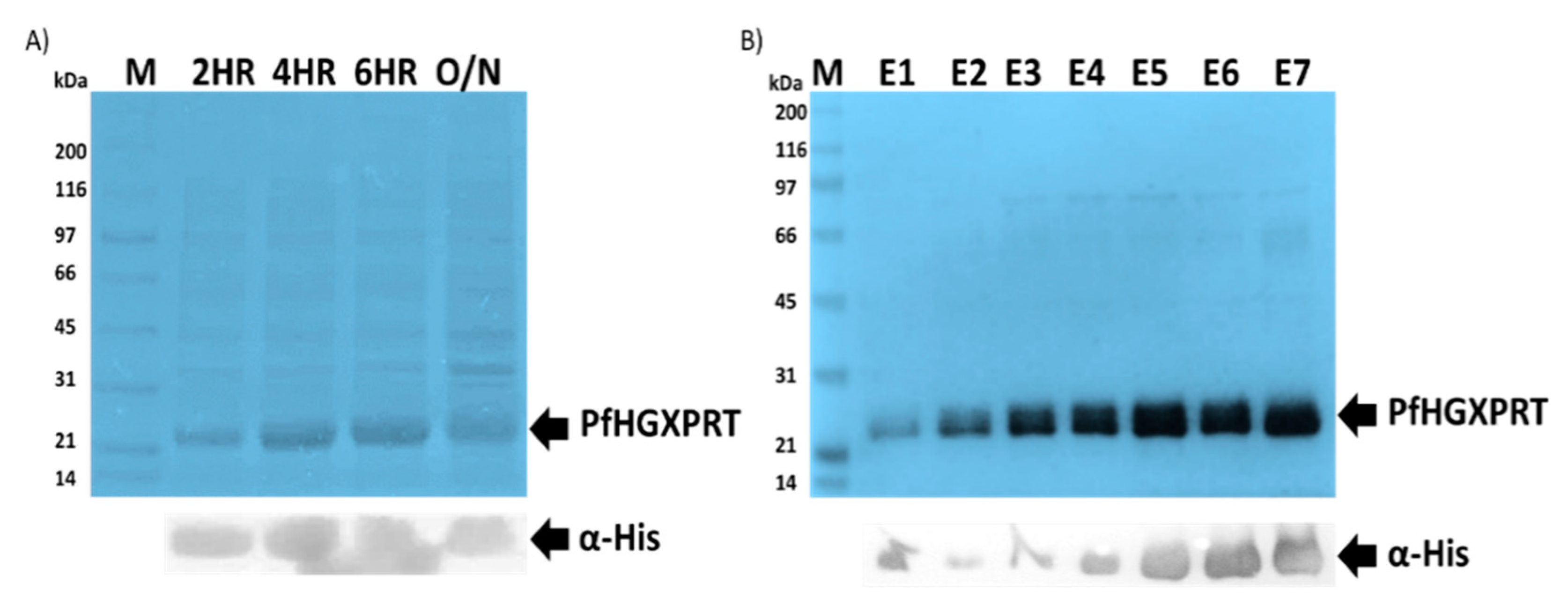 Biomolecules 09 00861 g001