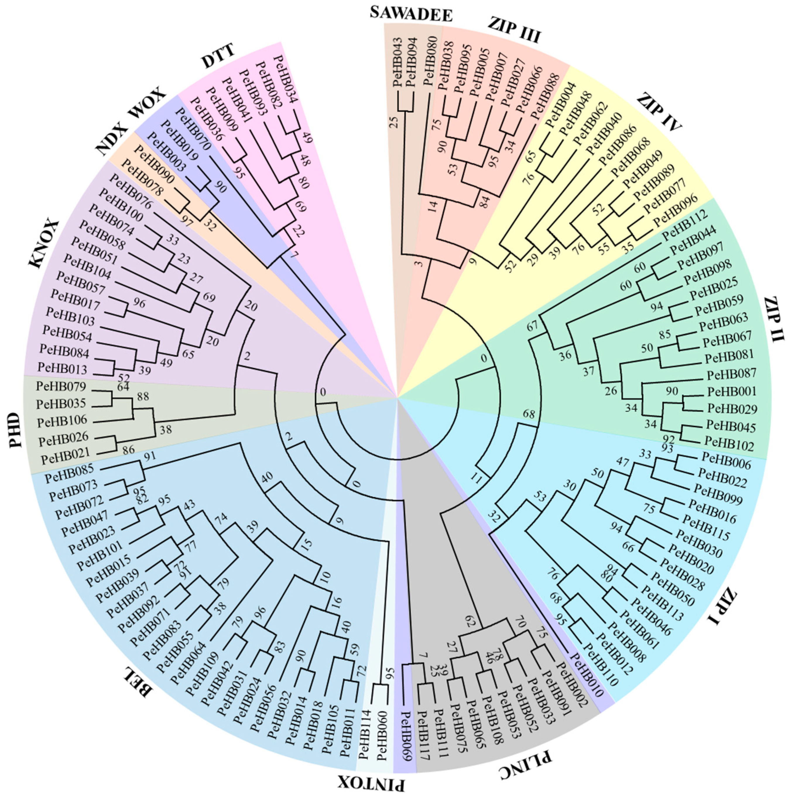Biomolecules 09 00862 g001