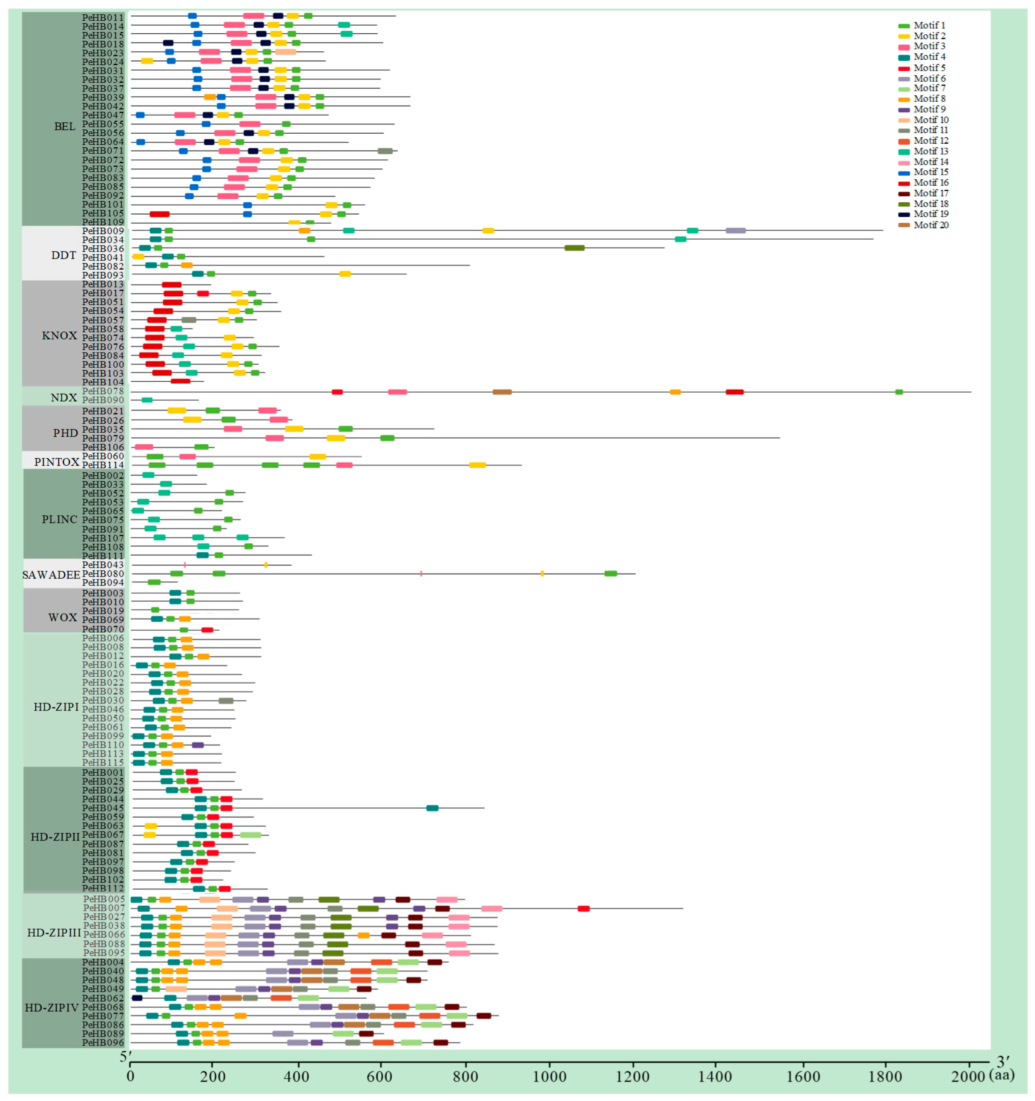 Biomolecules 09 00862 g002