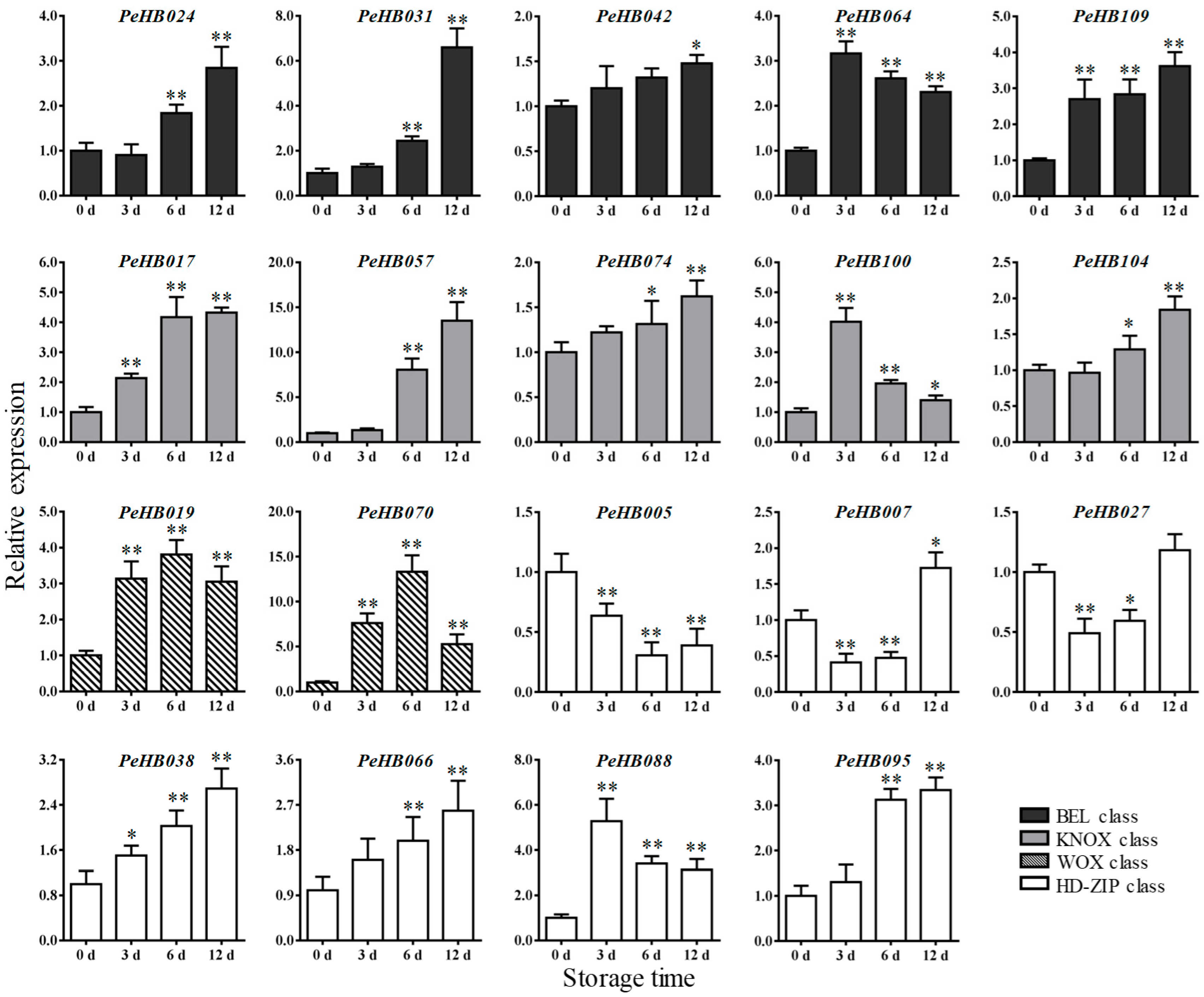 Biomolecules 09 00862 g007