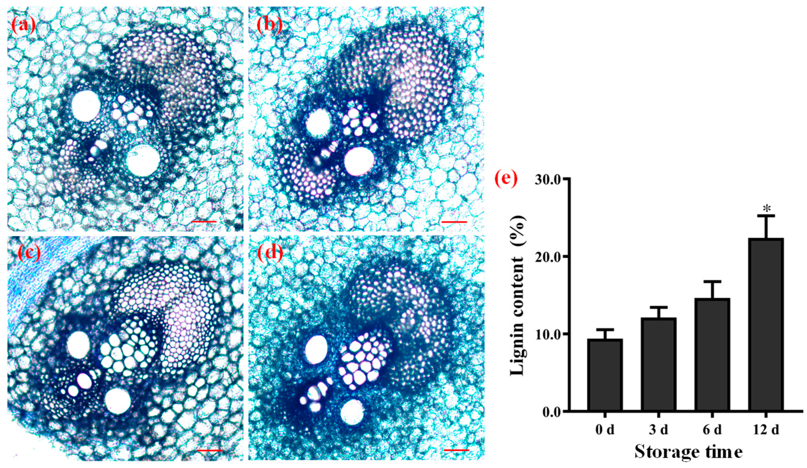 Biomolecules 09 00862 g008