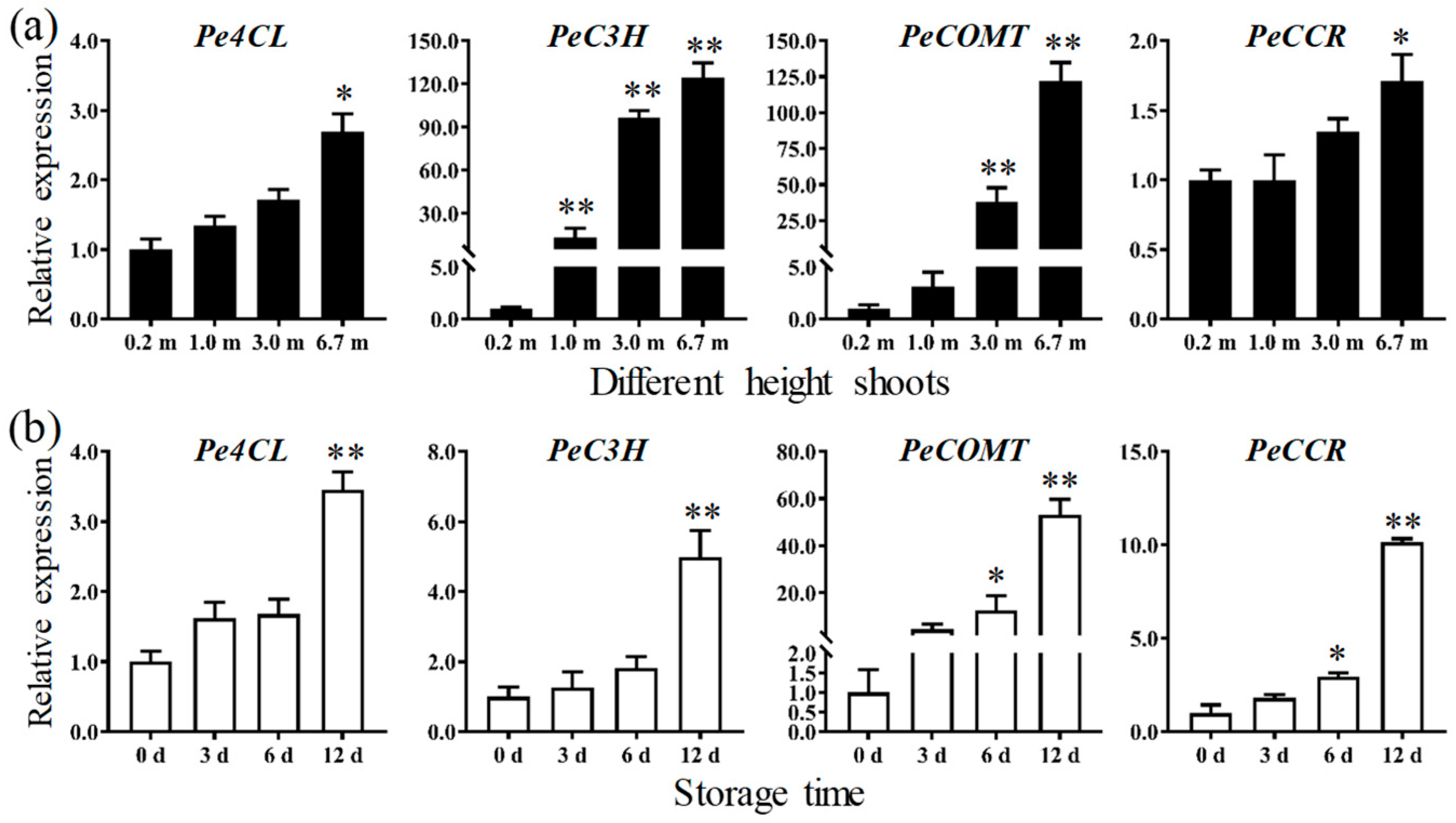 Biomolecules 09 00862 g009