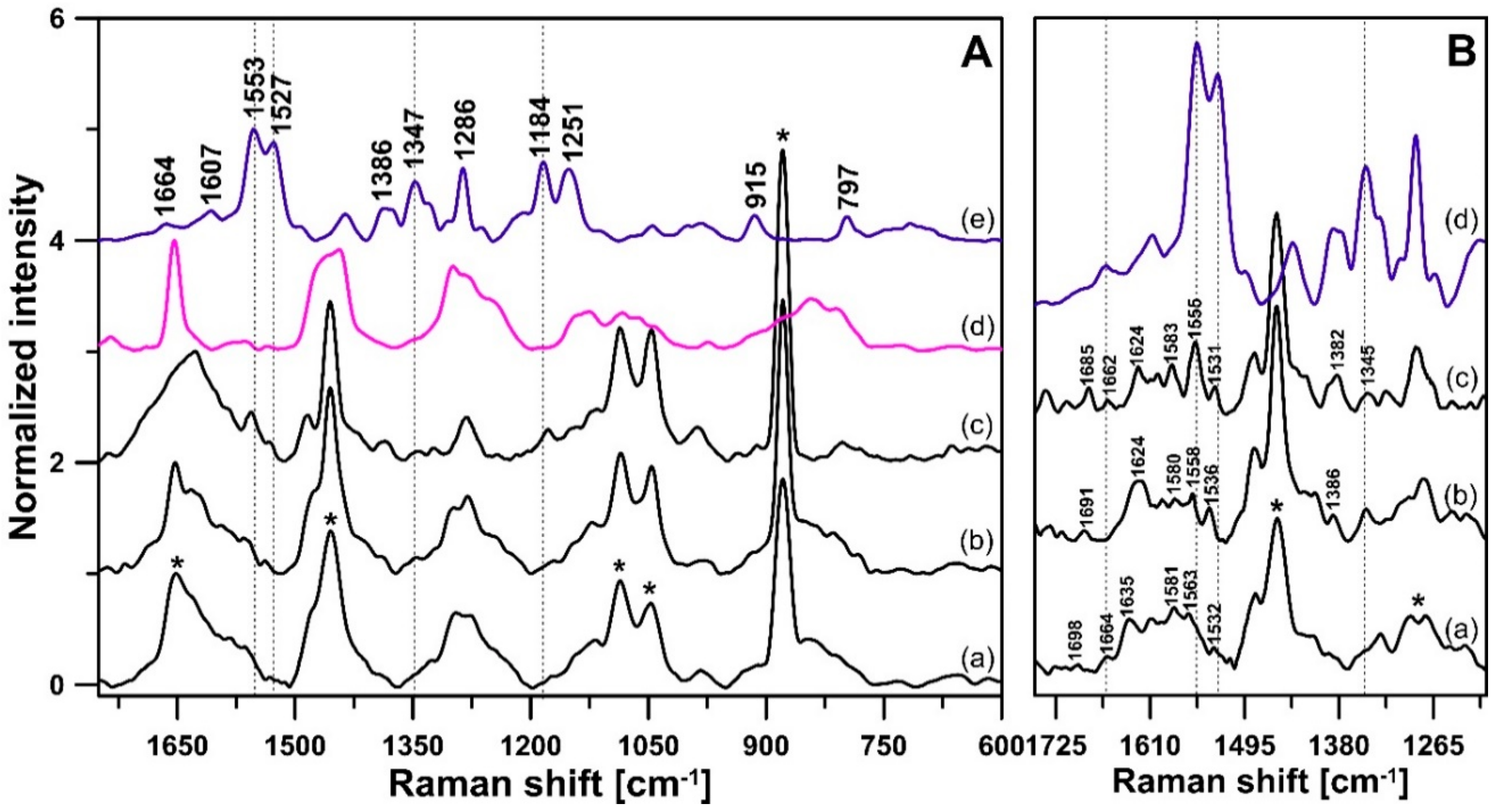 Biomolecules 09 00881 g007