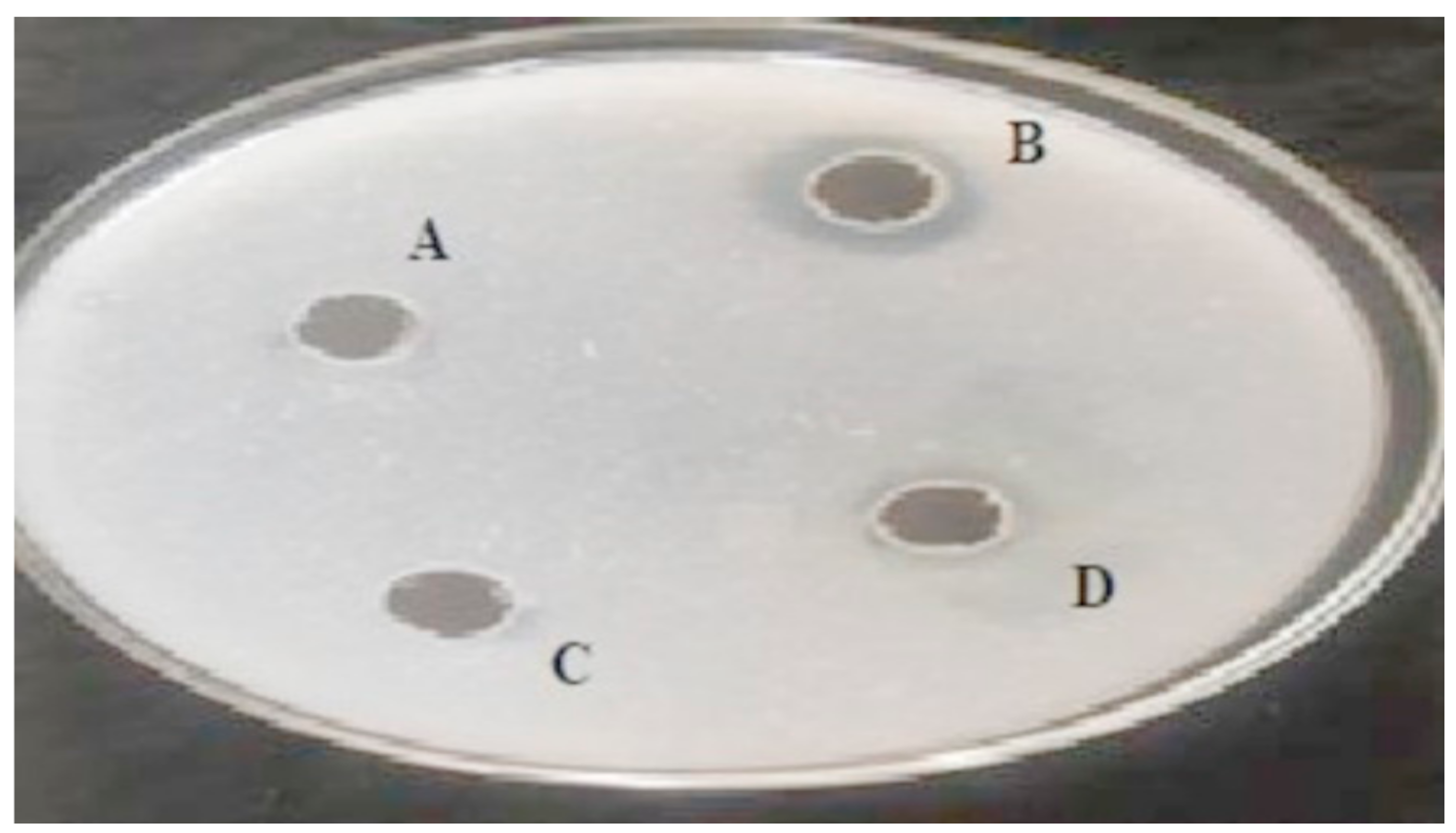 Biomolecules 10 00003 g001