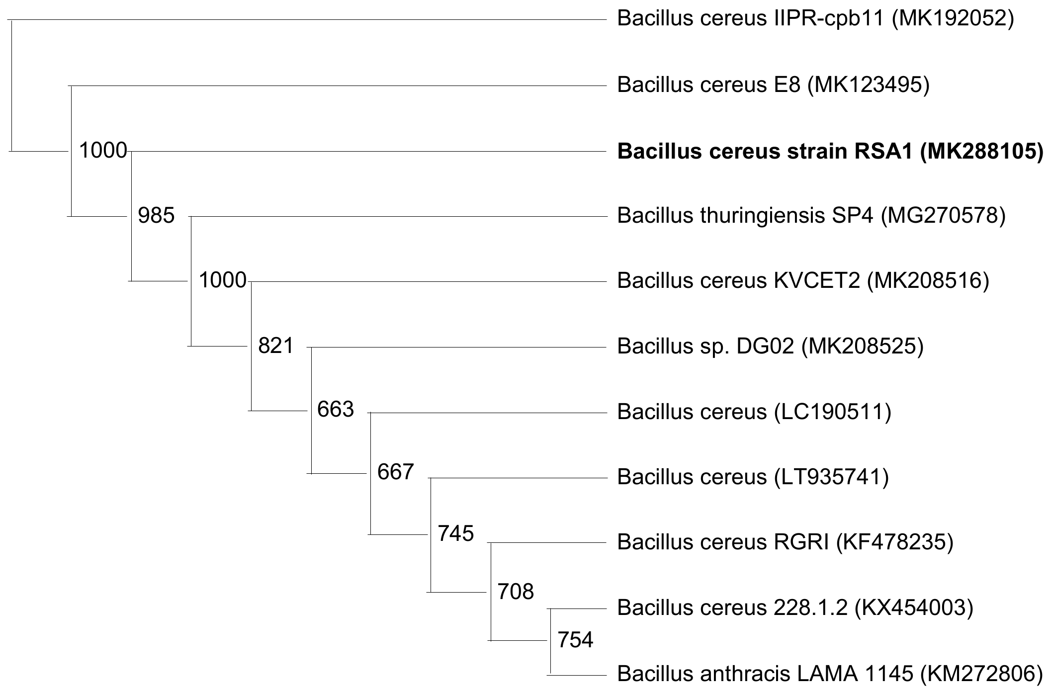 Biomolecules 10 00003 g002
