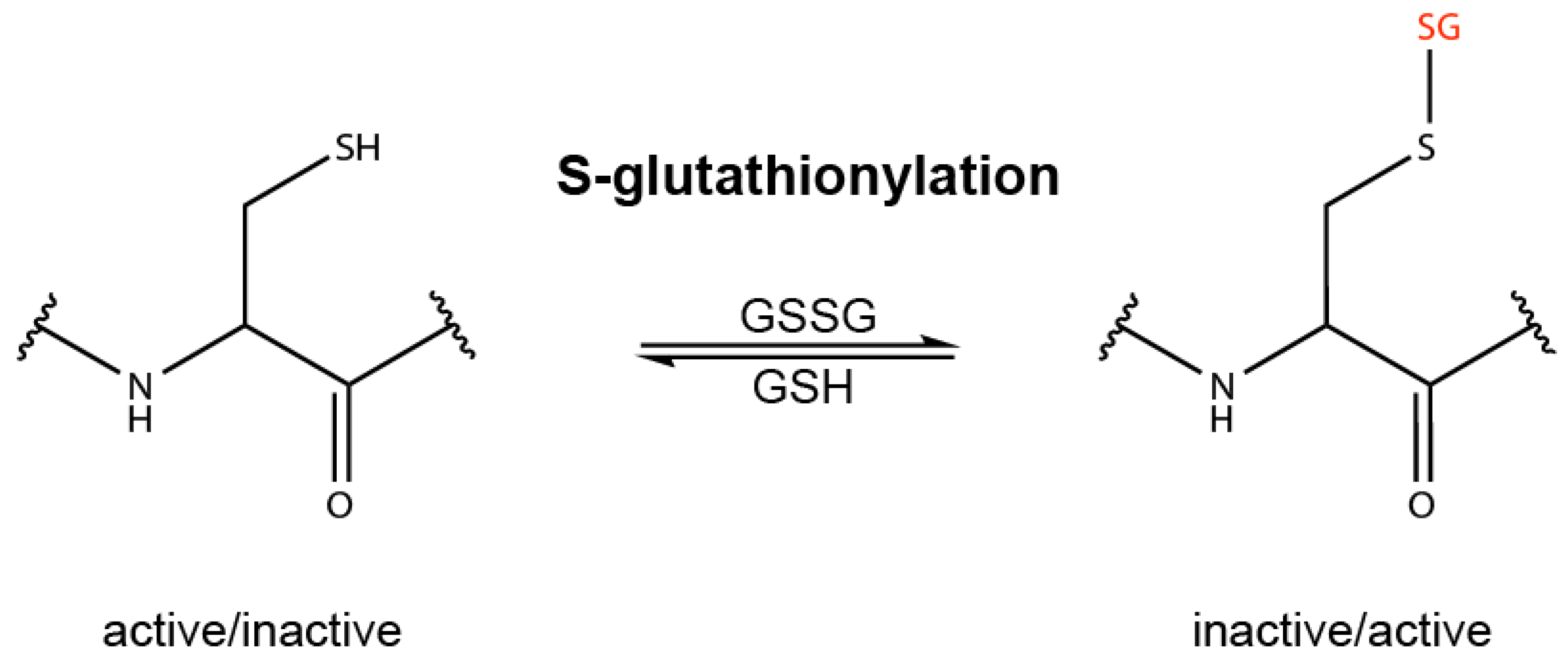 Biomolecules 10 00271 g001 Biomolecules 10 00271 g001