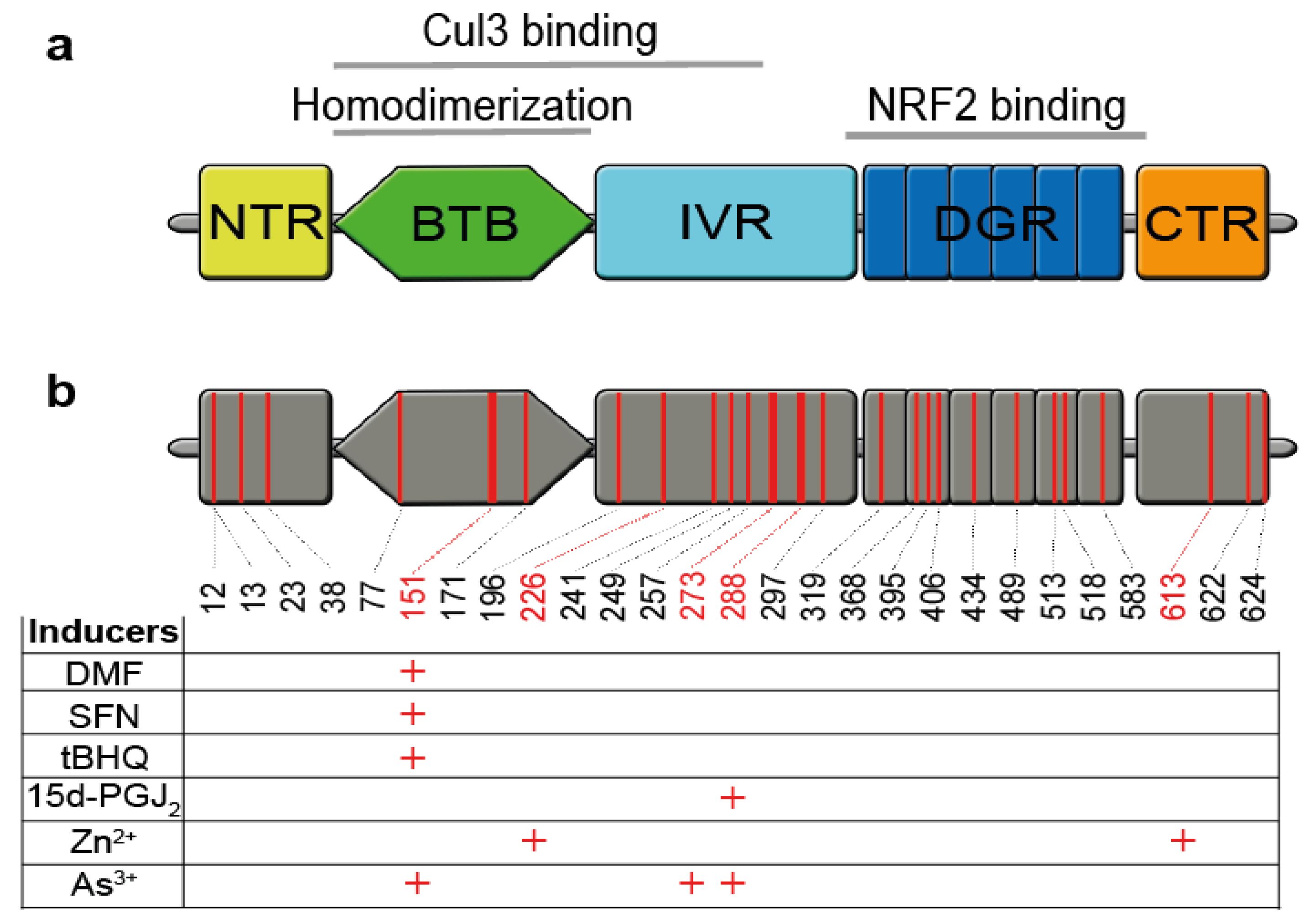 Biomolecules 10 00271 g002 Biomolecules 10 00271 g002