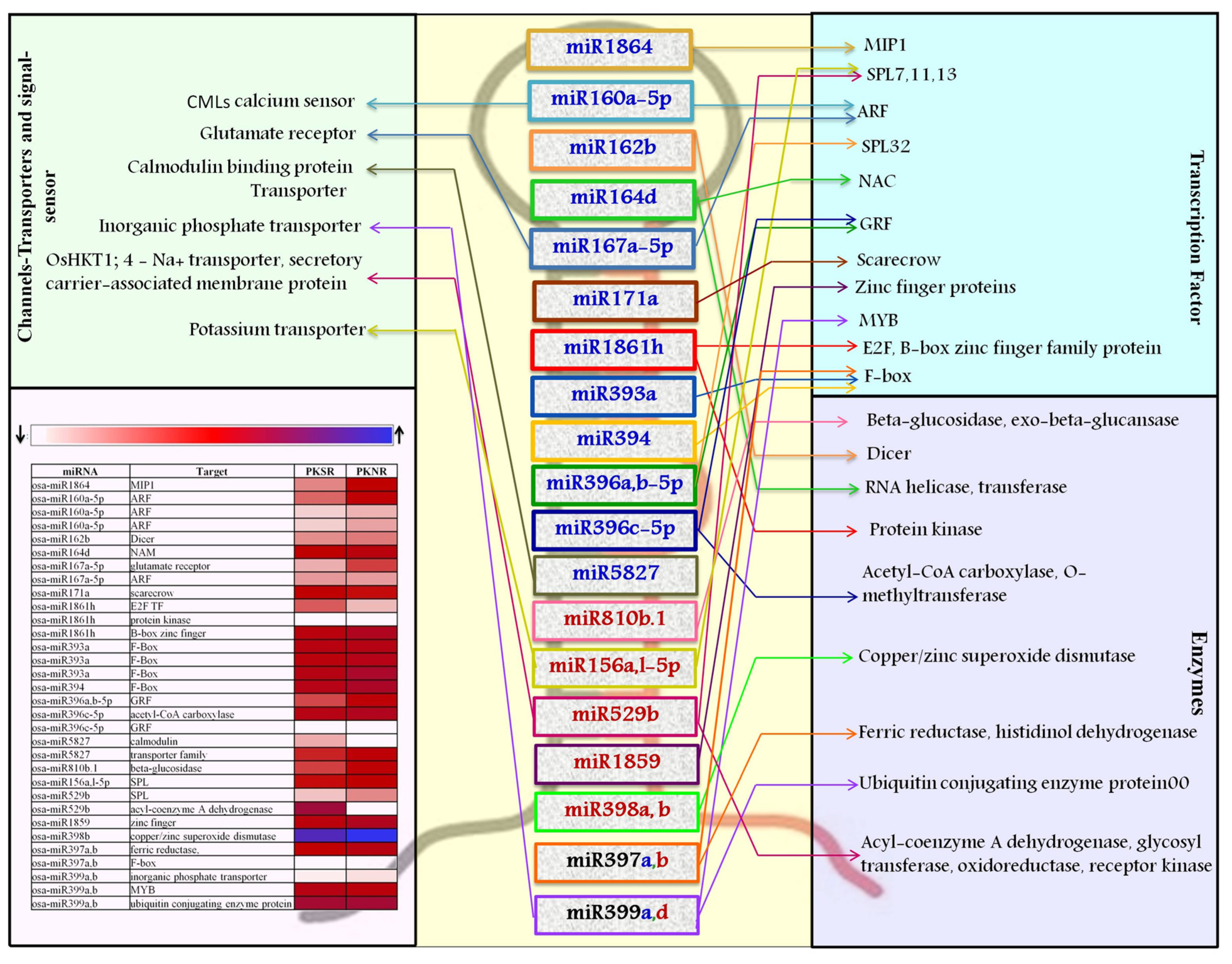 Biomolecules 10 00498 g004