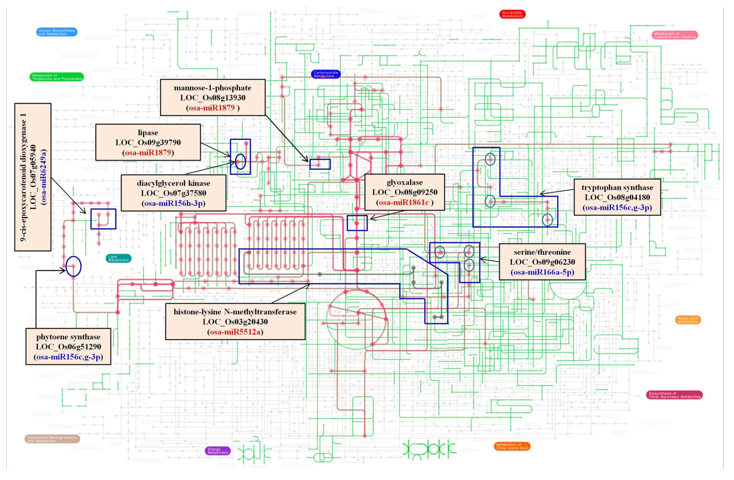 Biomolecules 10 00498 g005