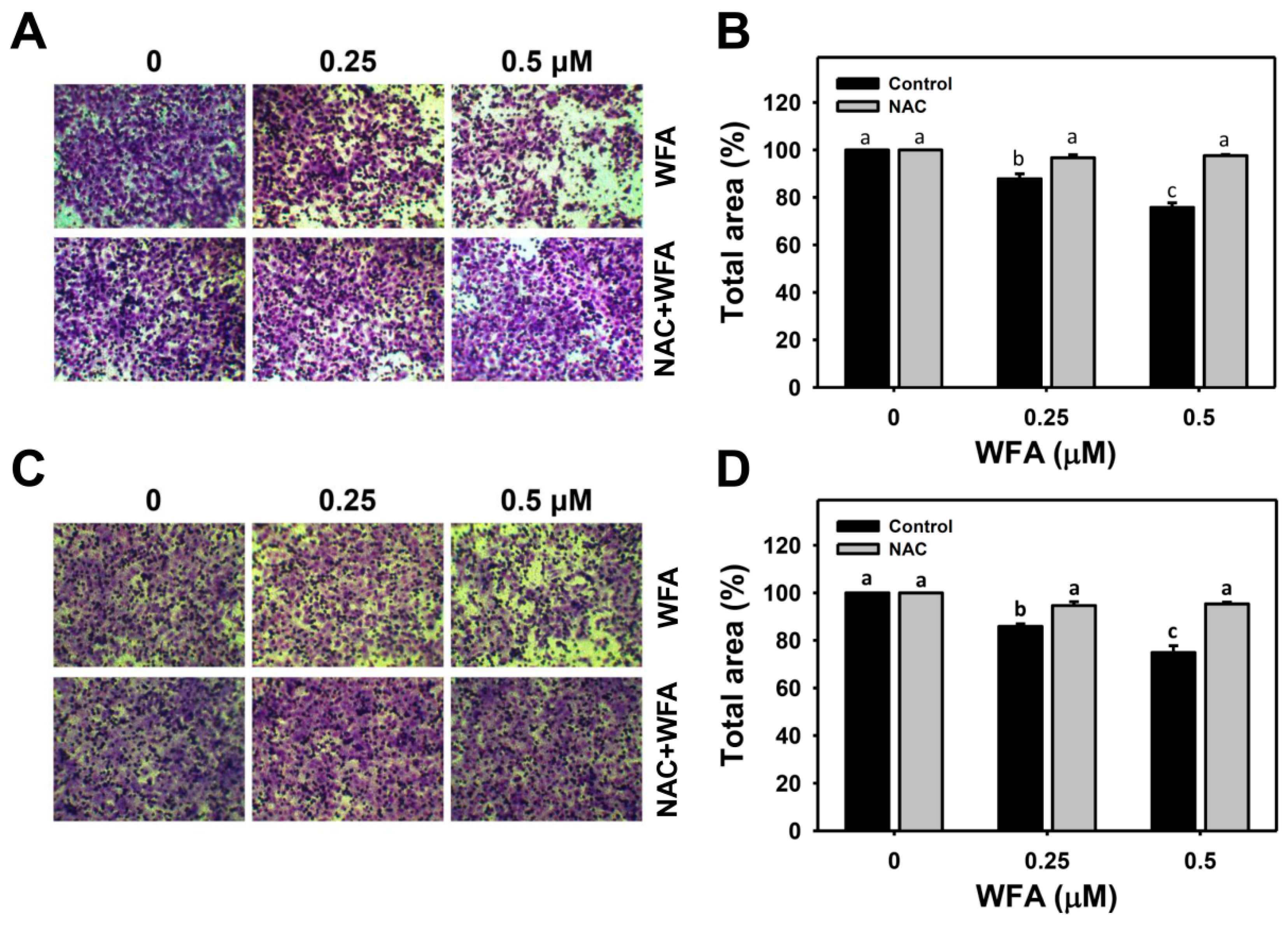 Biomolecules 10 00777 g004