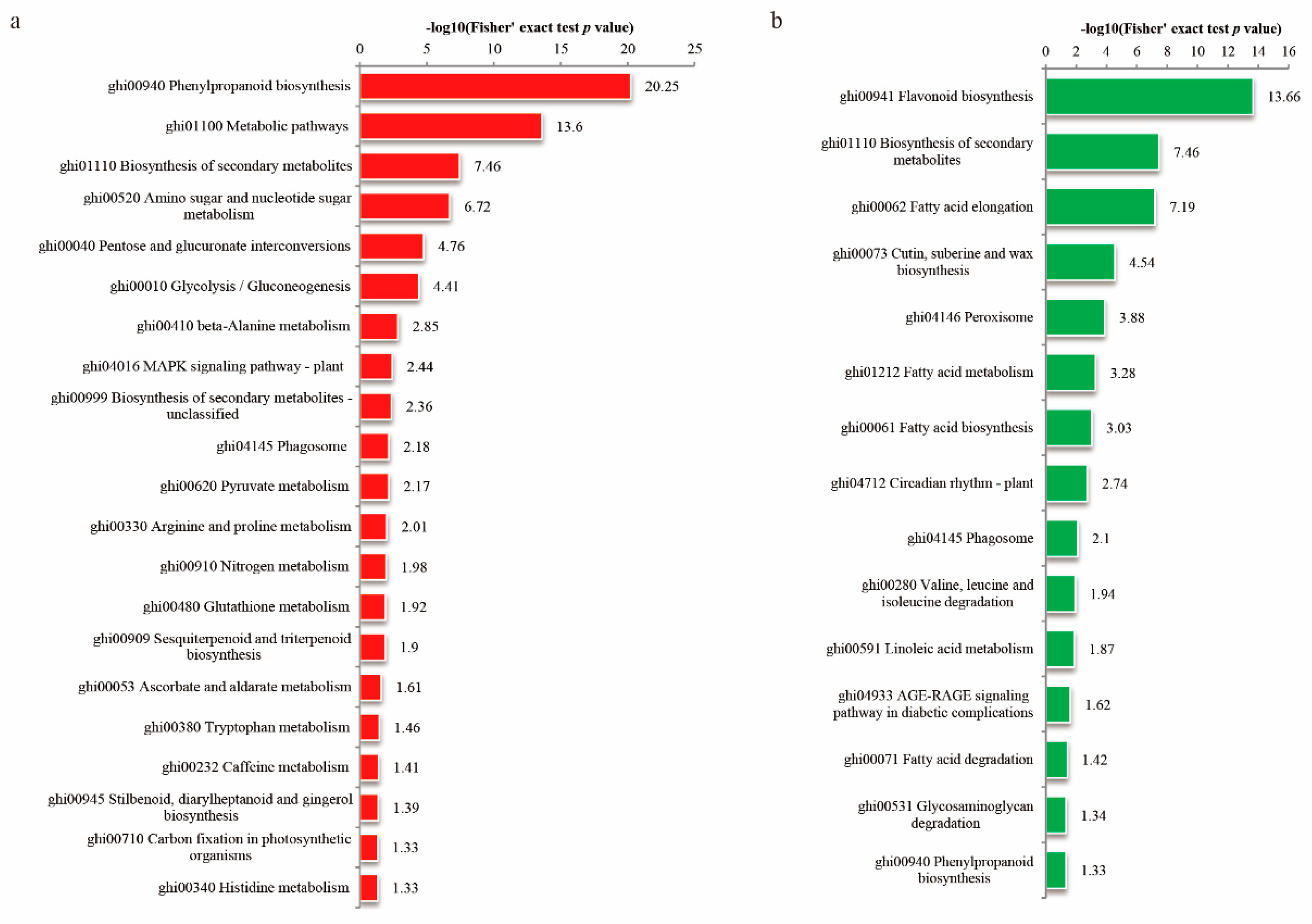 Biomolecules 10 01258 g005