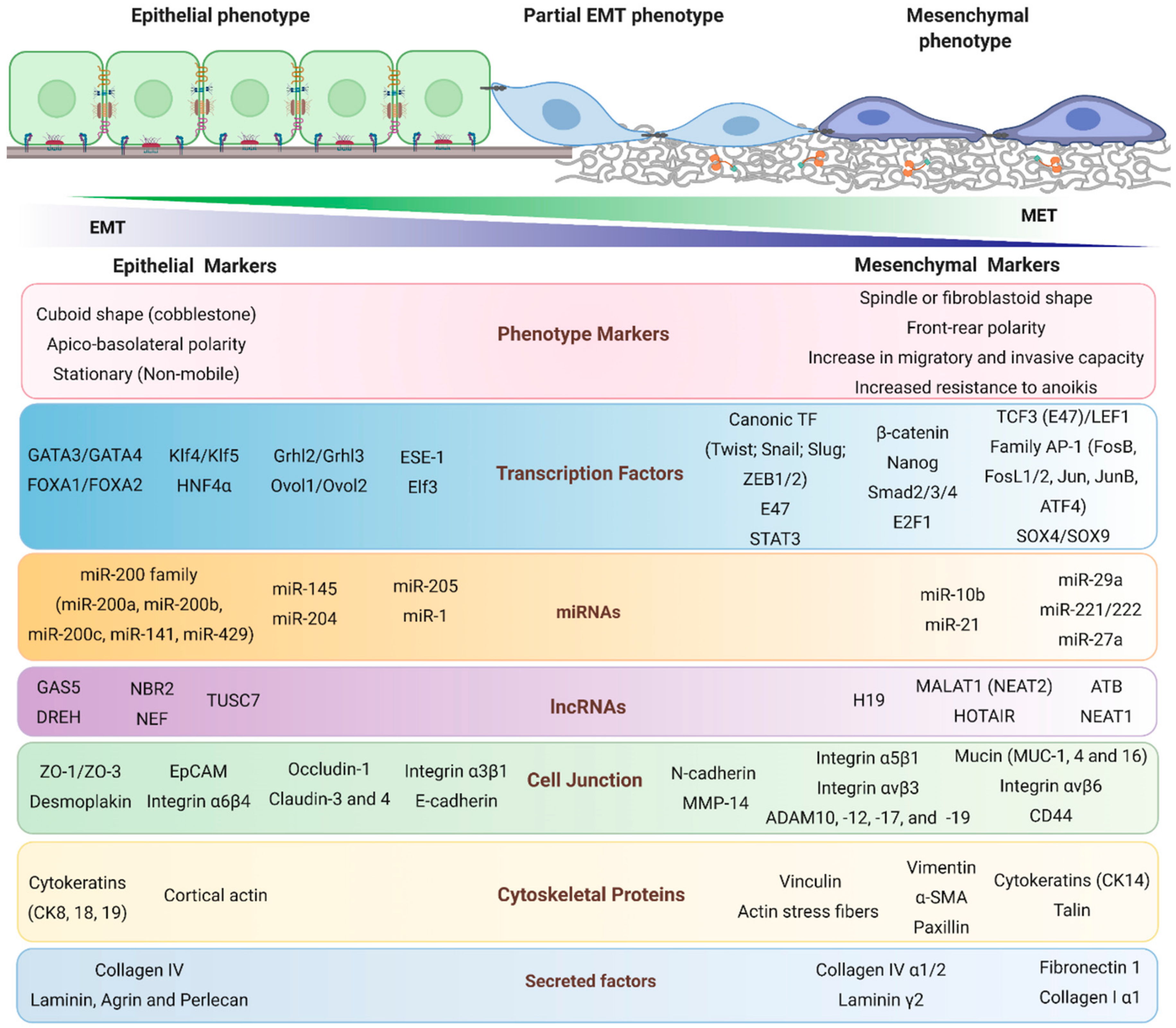 Biomolecules 10 01676 g001