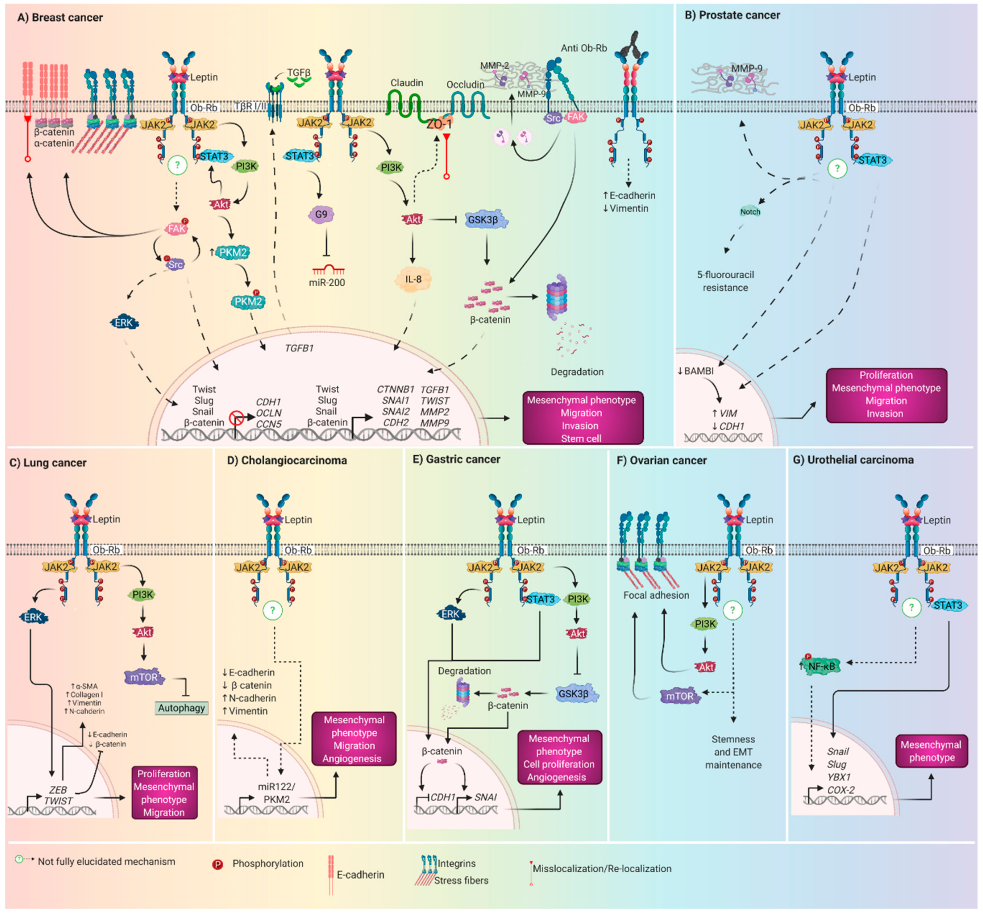 Biomolecules 10 01676 g003