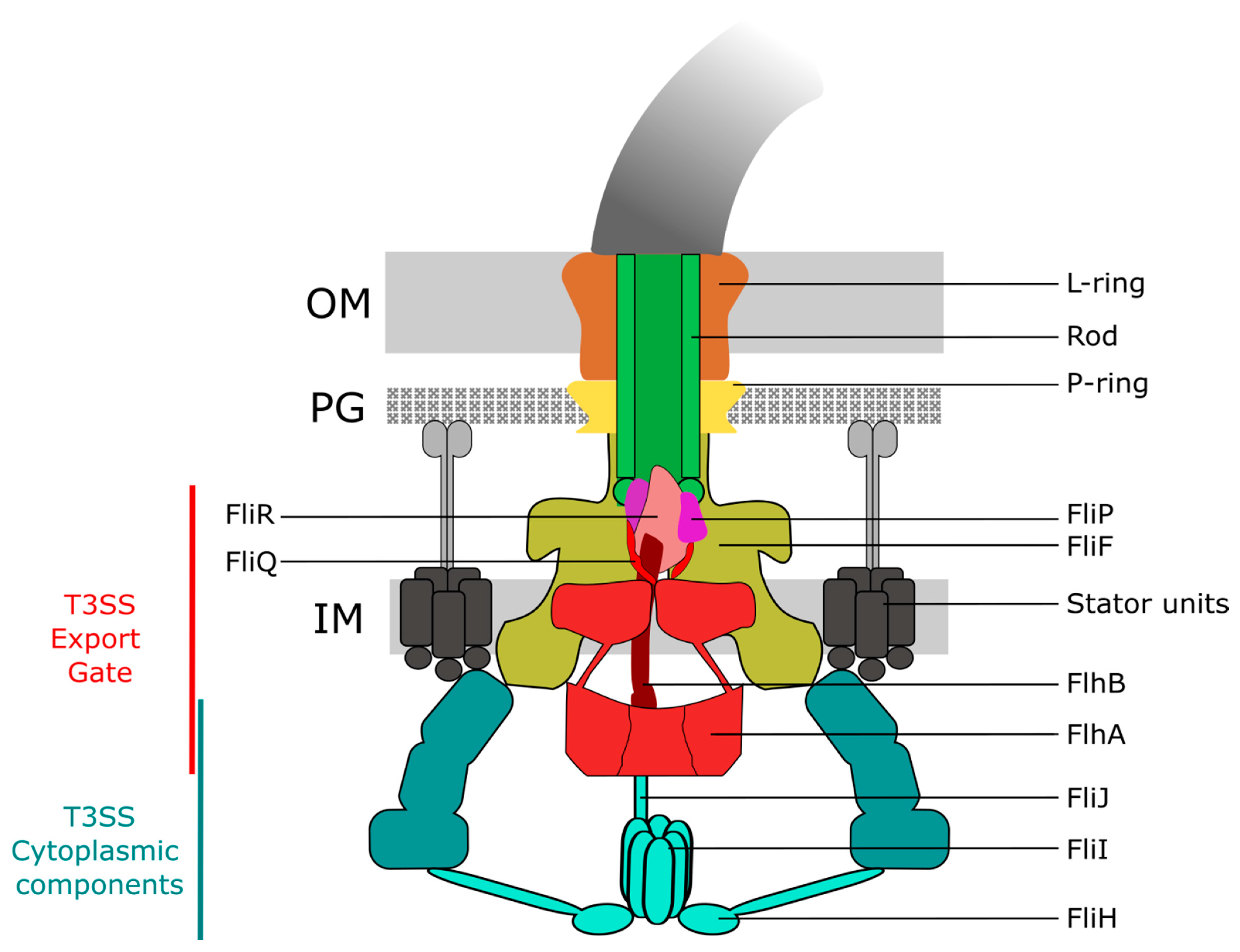 Biomolecules 11 00186 g001