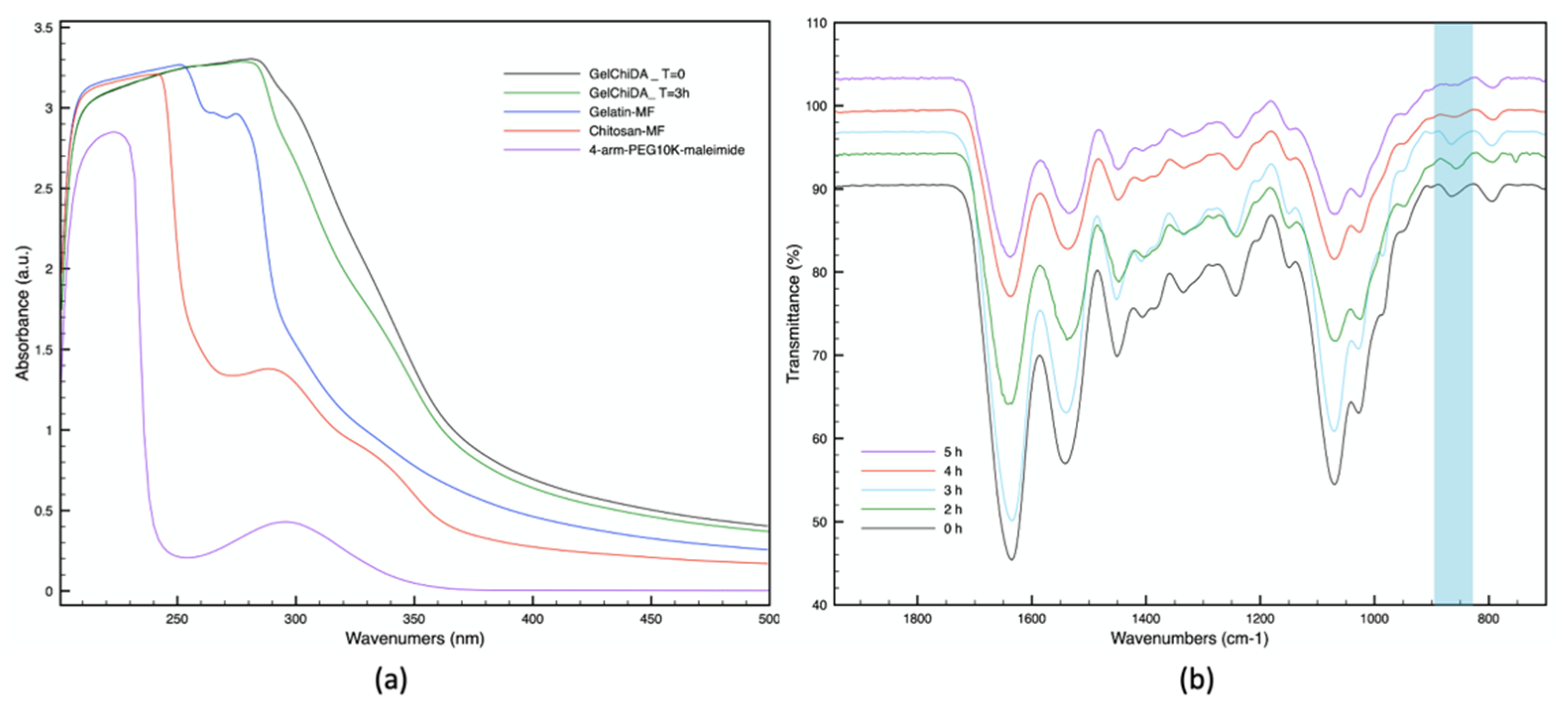 Biomolecules 11 00683 g002